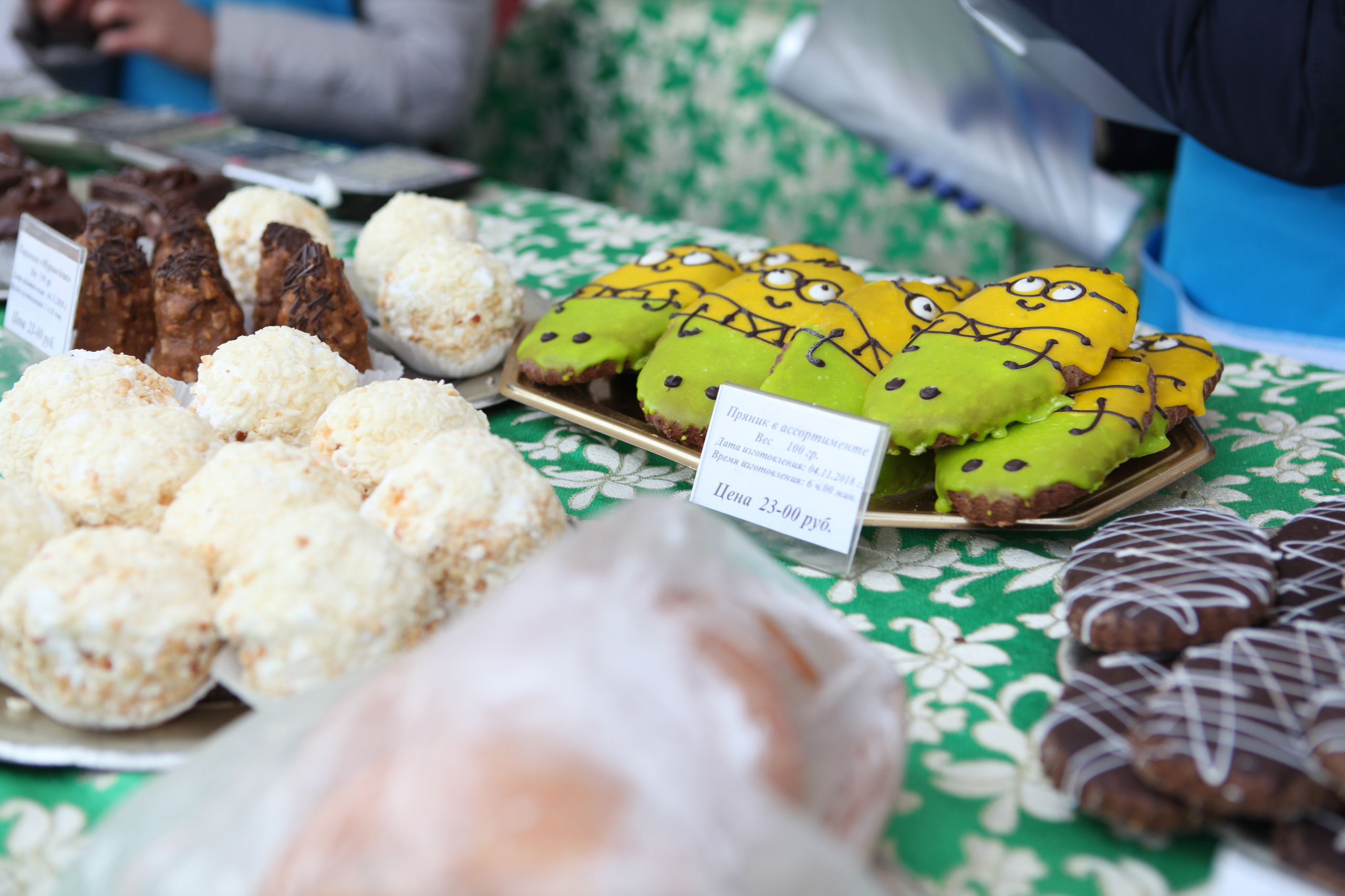 День народного единства. Фотограф Дарья Локотко в Красноярске