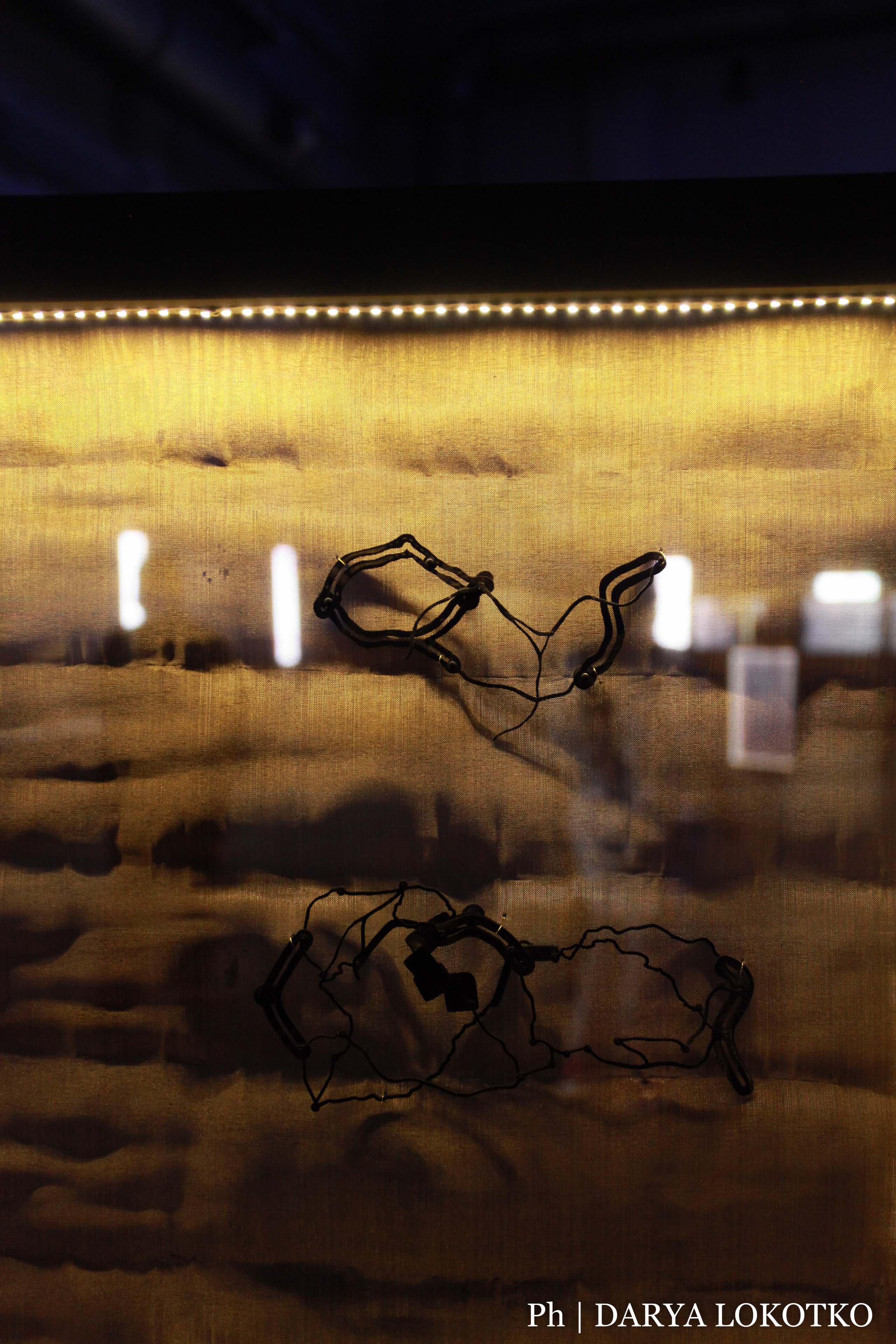 Красноярска ярмарка книжной культуры. Фотограф Дарья Локотко в Красноярске