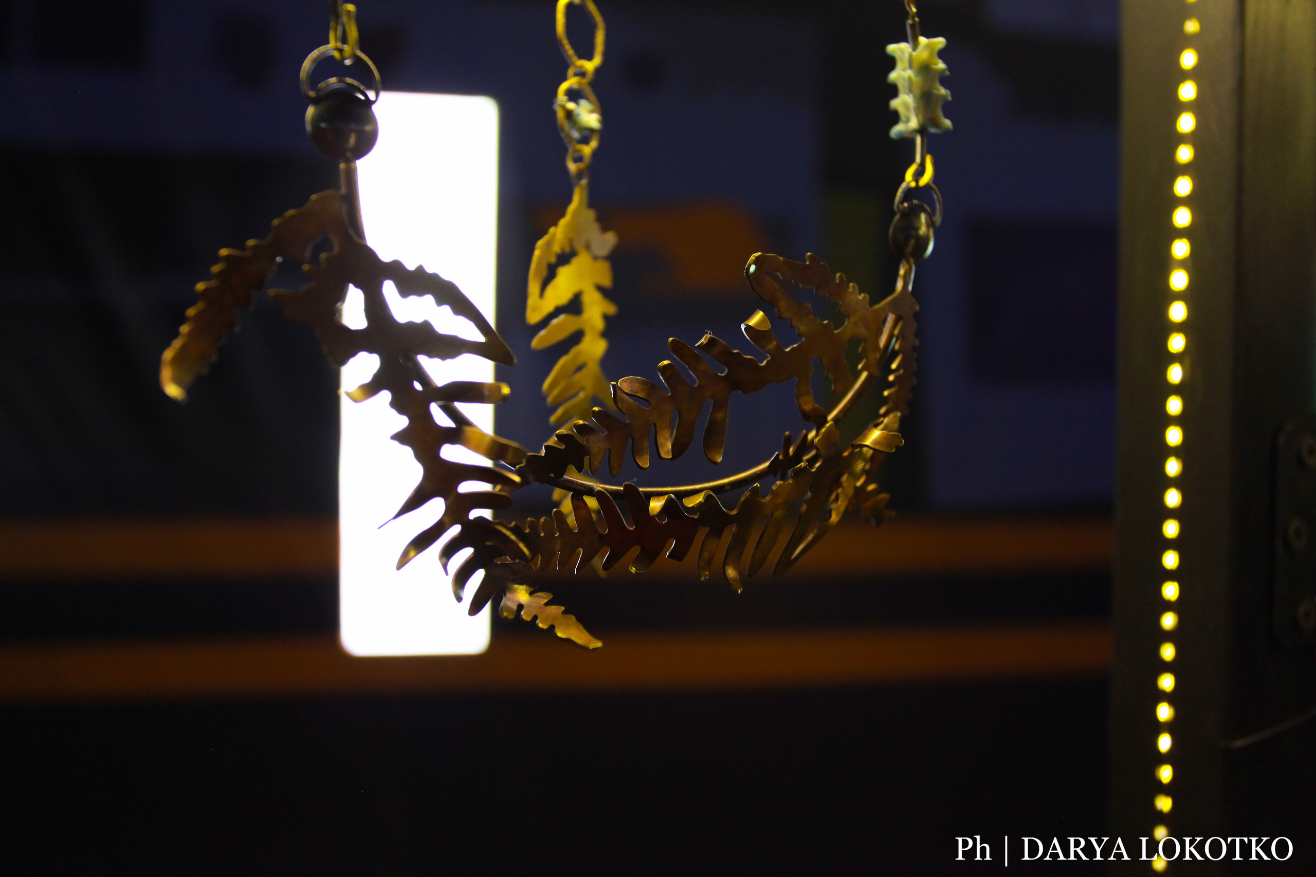 Красноярска ярмарка книжной культуры. Фотограф Дарья Локотко в Красноярске