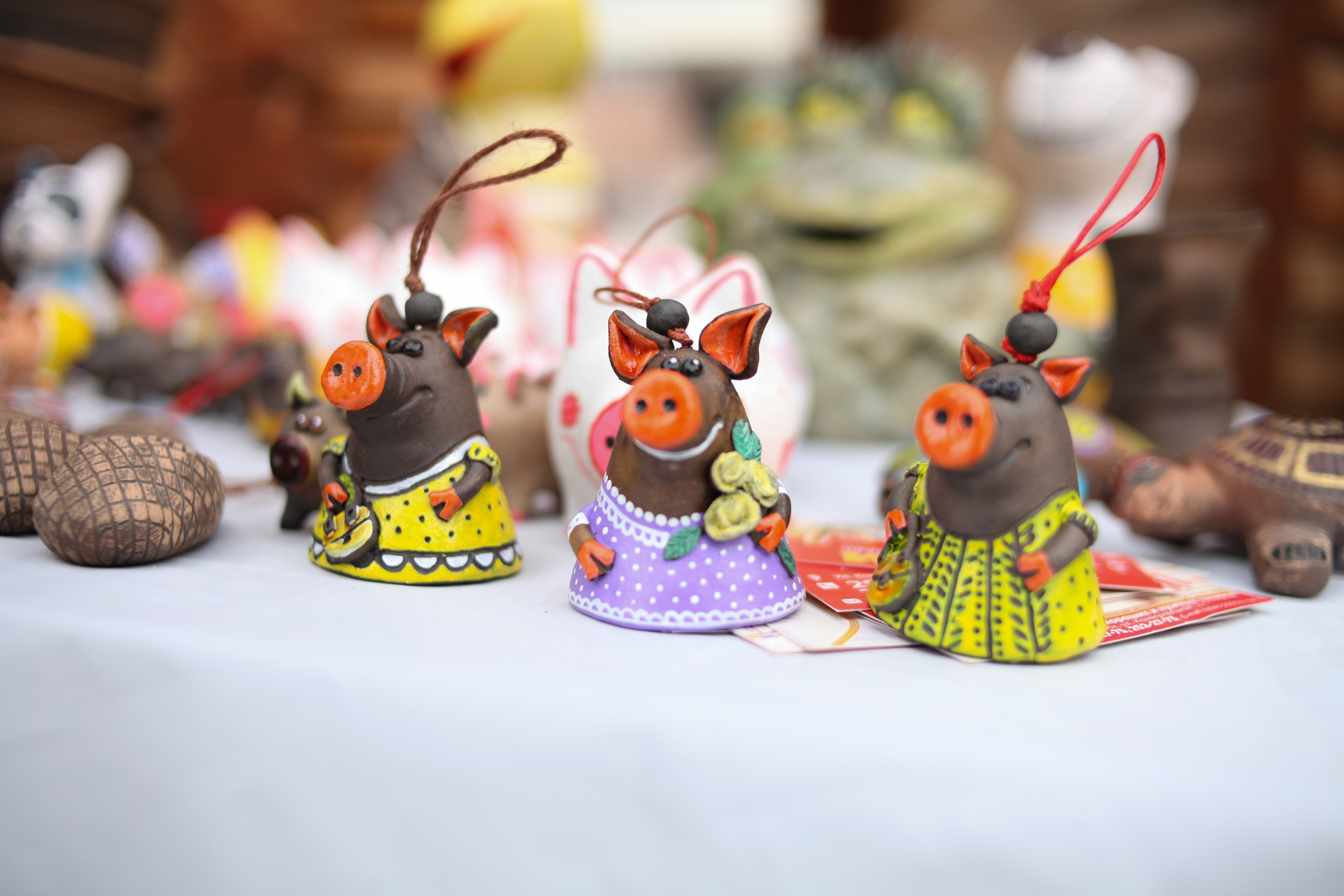 День народного единства. Фотограф Дарья Локотко в Красноярске