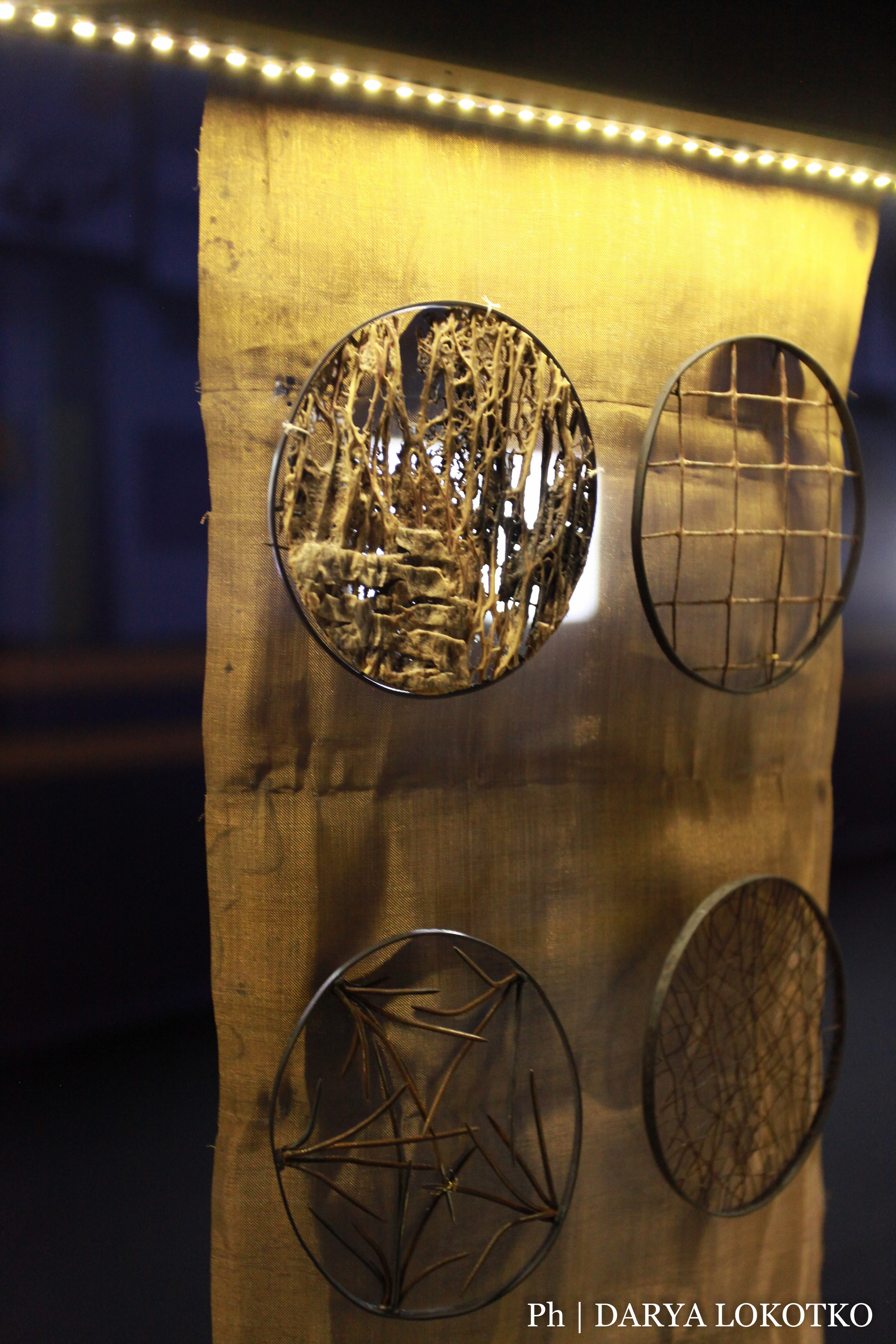 Красноярска ярмарка книжной культуры. Фотограф Дарья Локотко в Красноярске