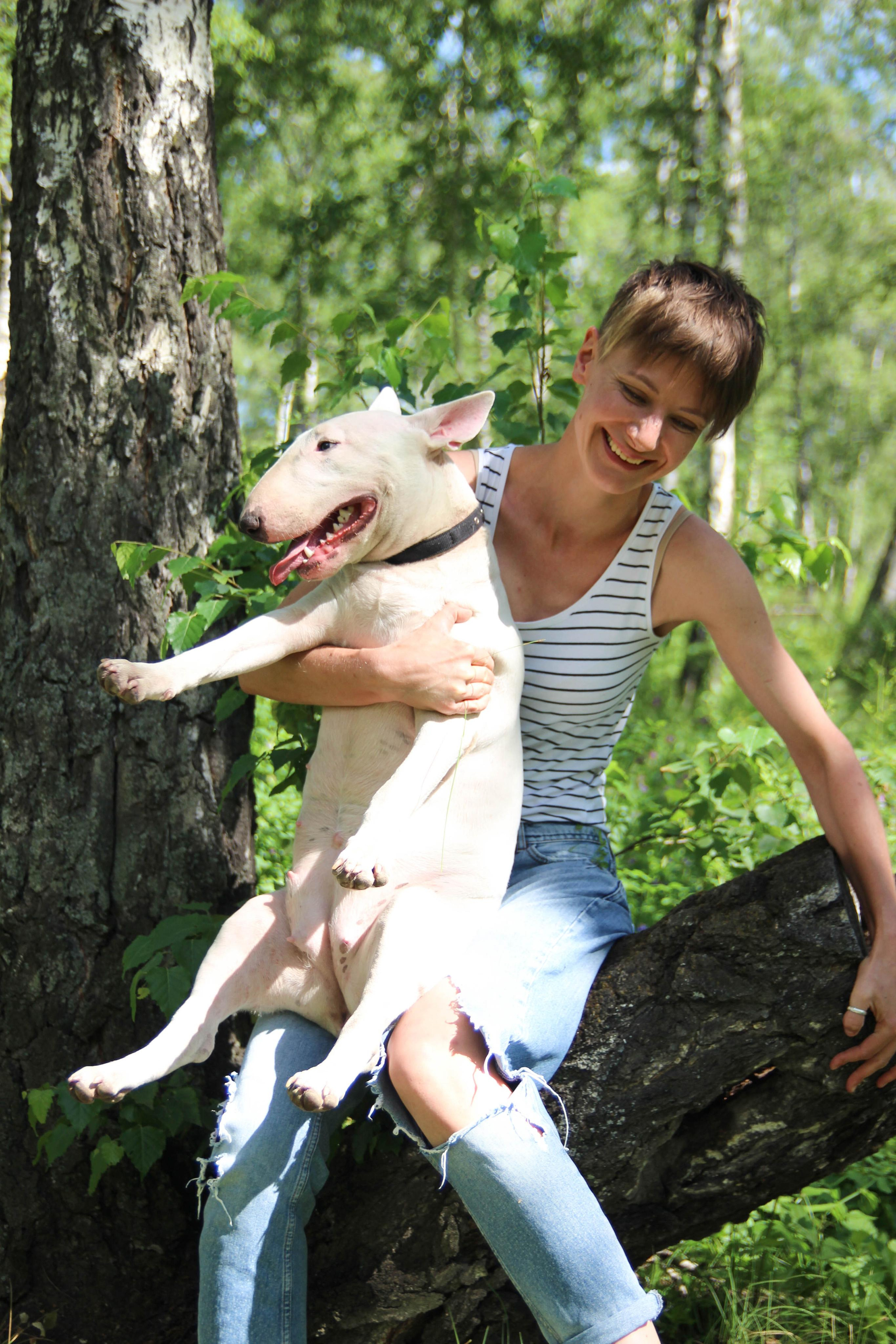 бультерьер собака и девушка на природе