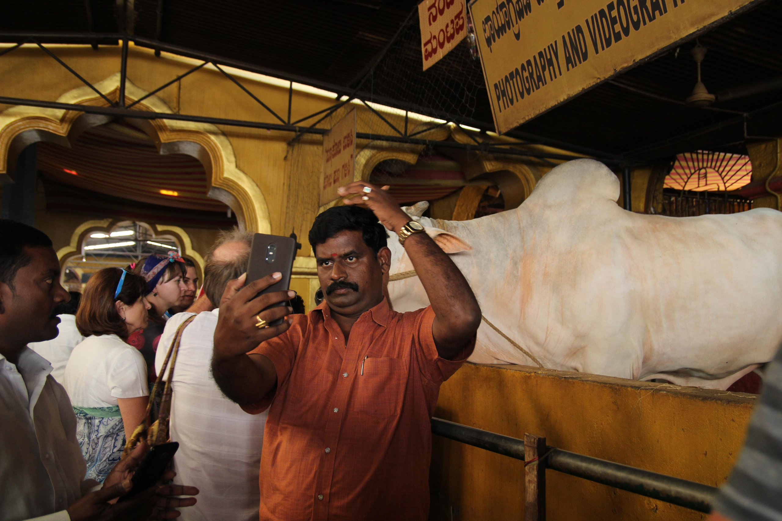 Индия. Фотограф Дарья Локотко в Красноярске