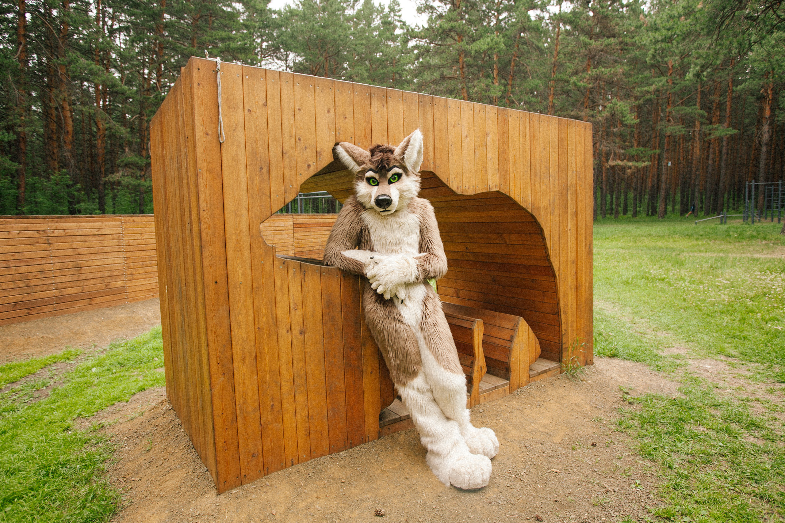 волк, фури, природа, лето, роща, зеленая трава