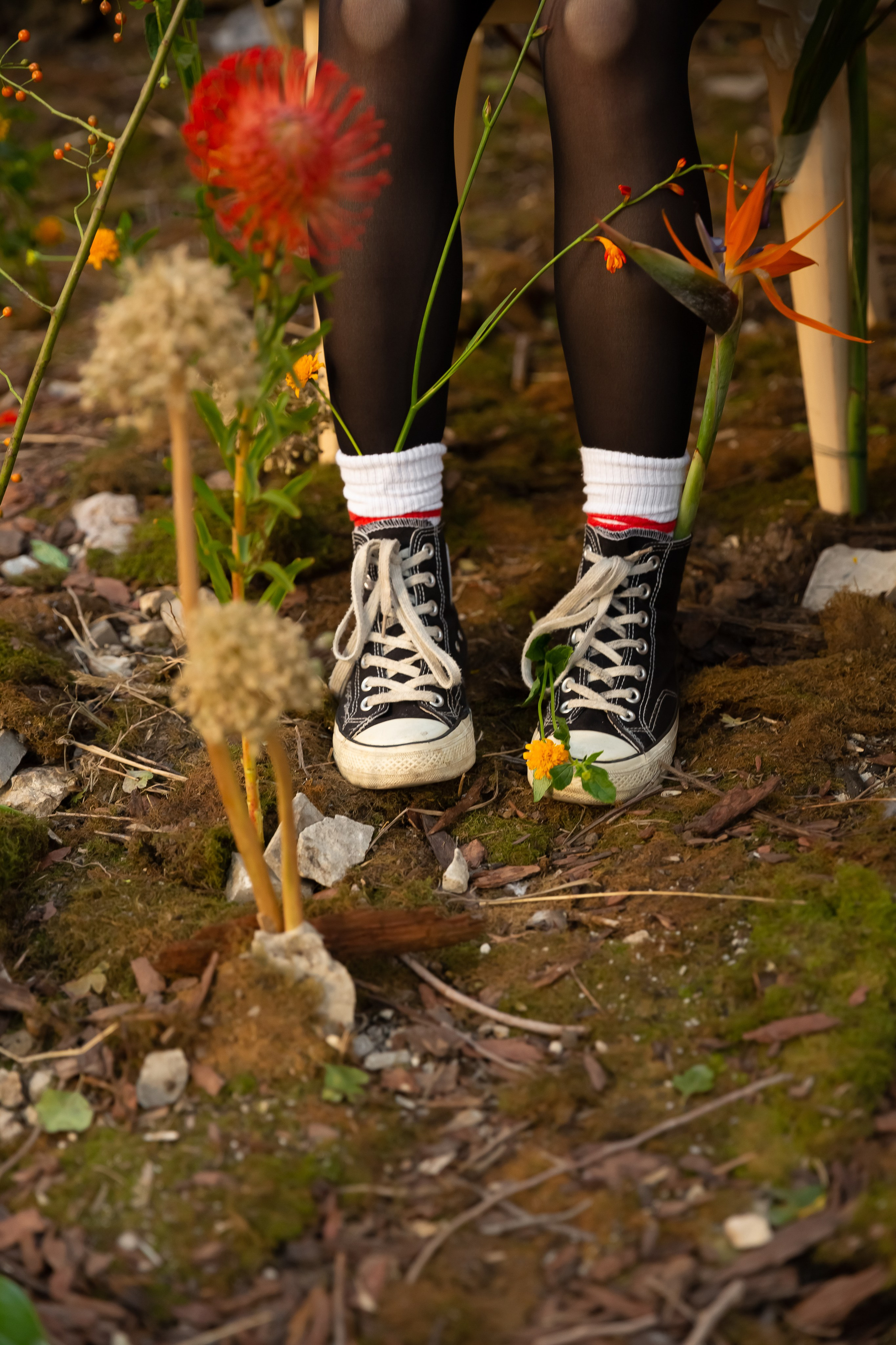 Флористика, проект, азия, цветы, фотограф, фотосессия. Профессиональный фотограф Инесса Новикова в Москве