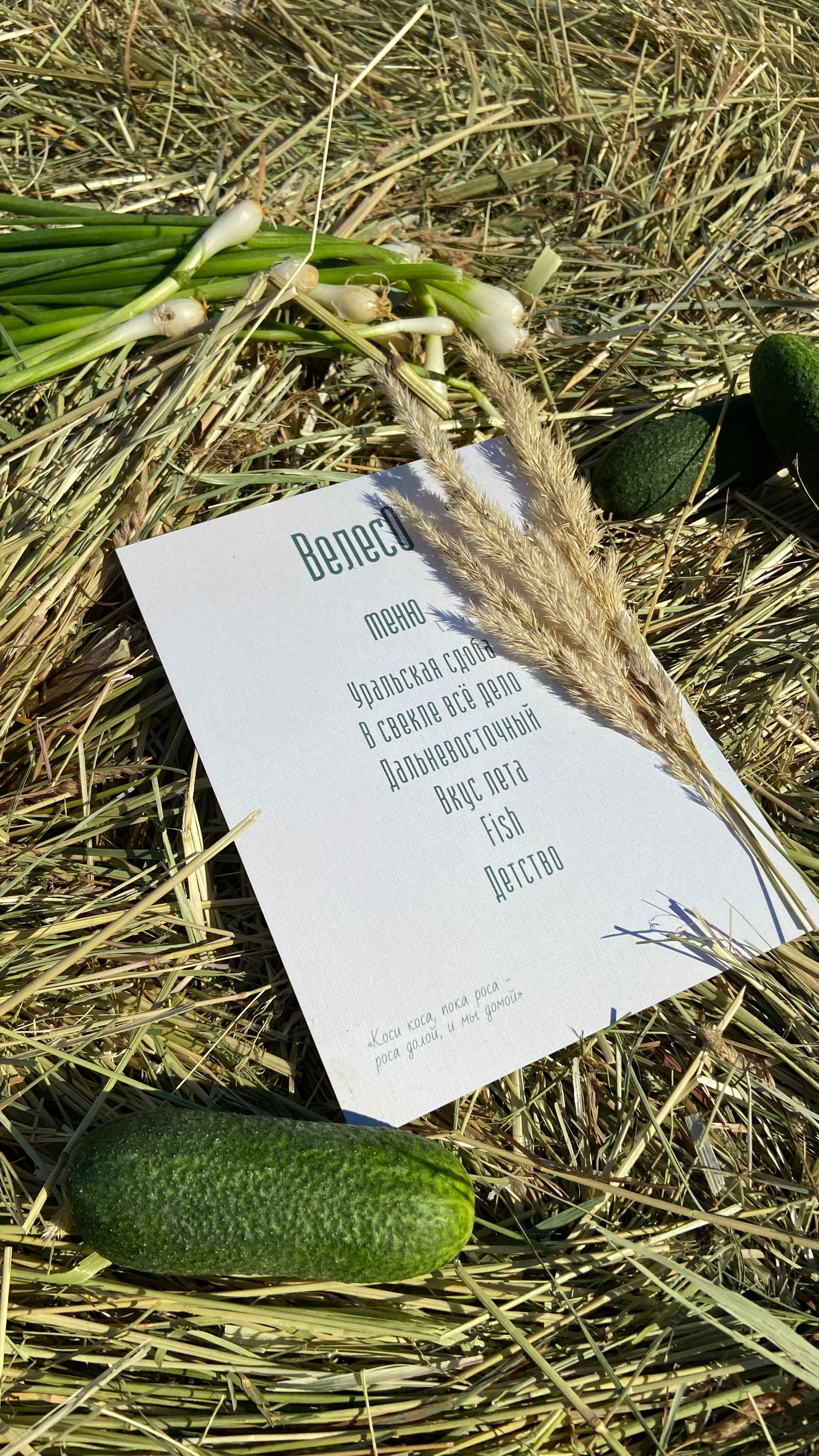 Репортажка. Гупалов Игорь — фотограф