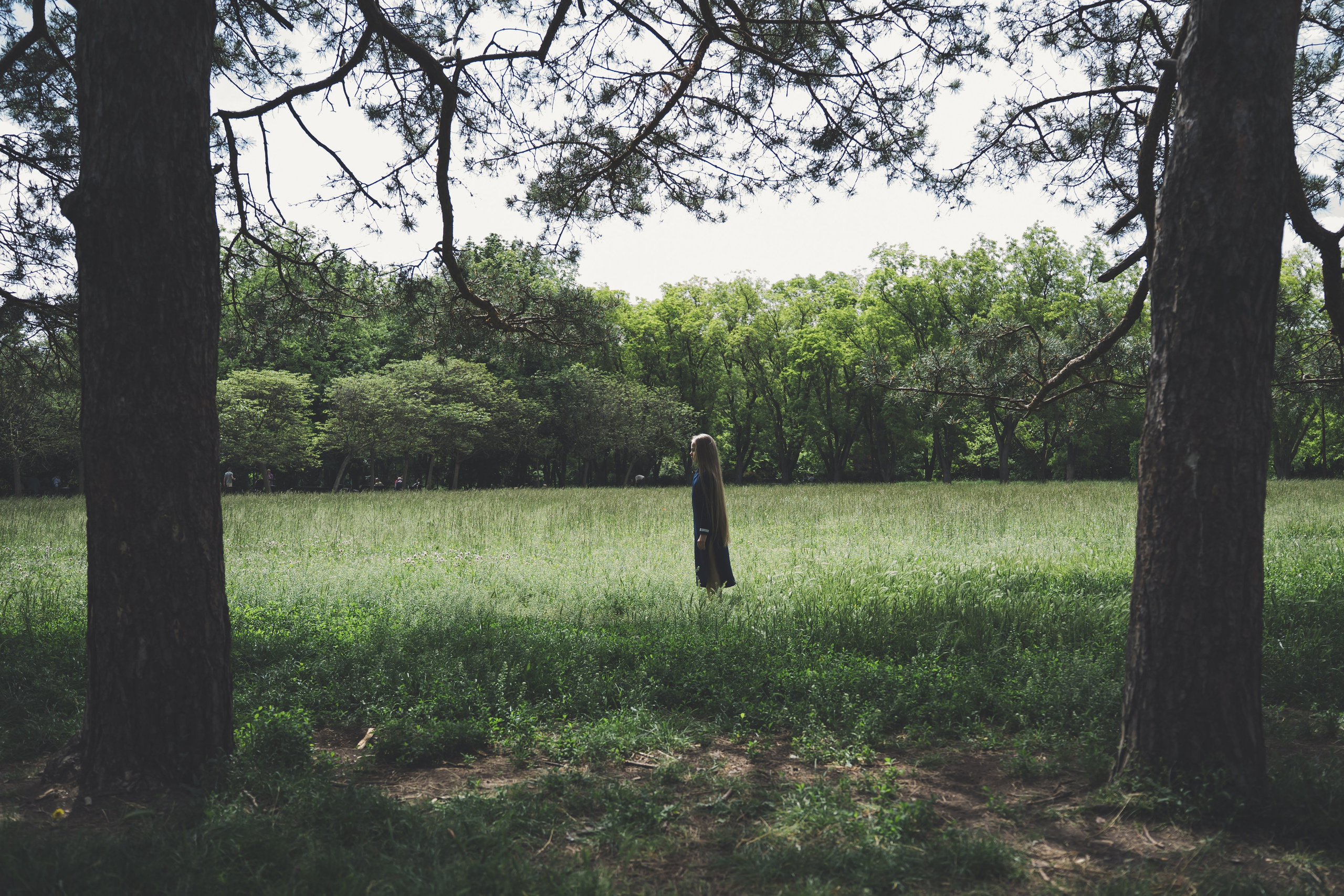 Творческие Проекты. Фото