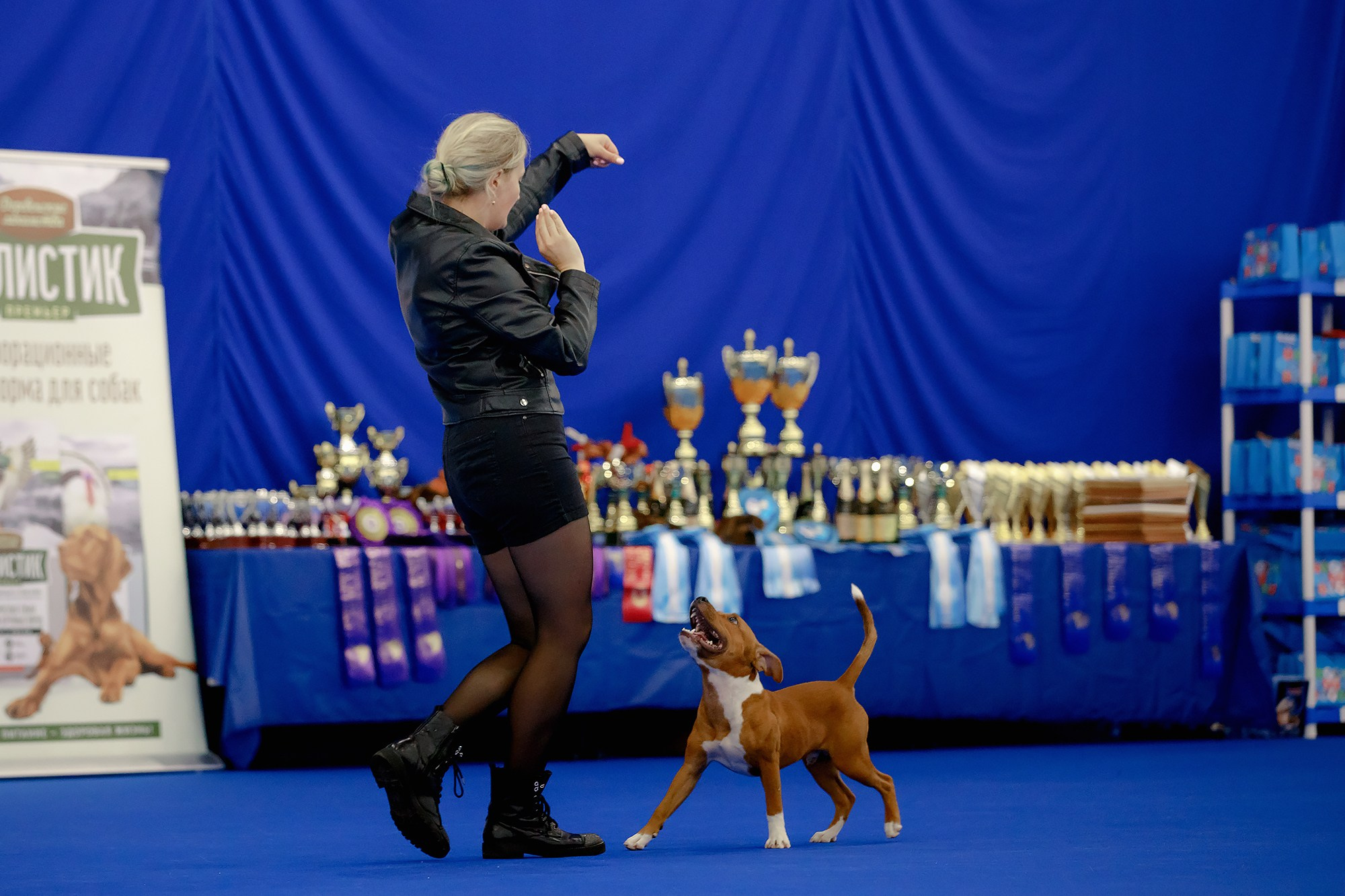 Танцы на выставке «Зоошоу», СПб. Фотограф-анималист Mary Mart — Москва, Питер