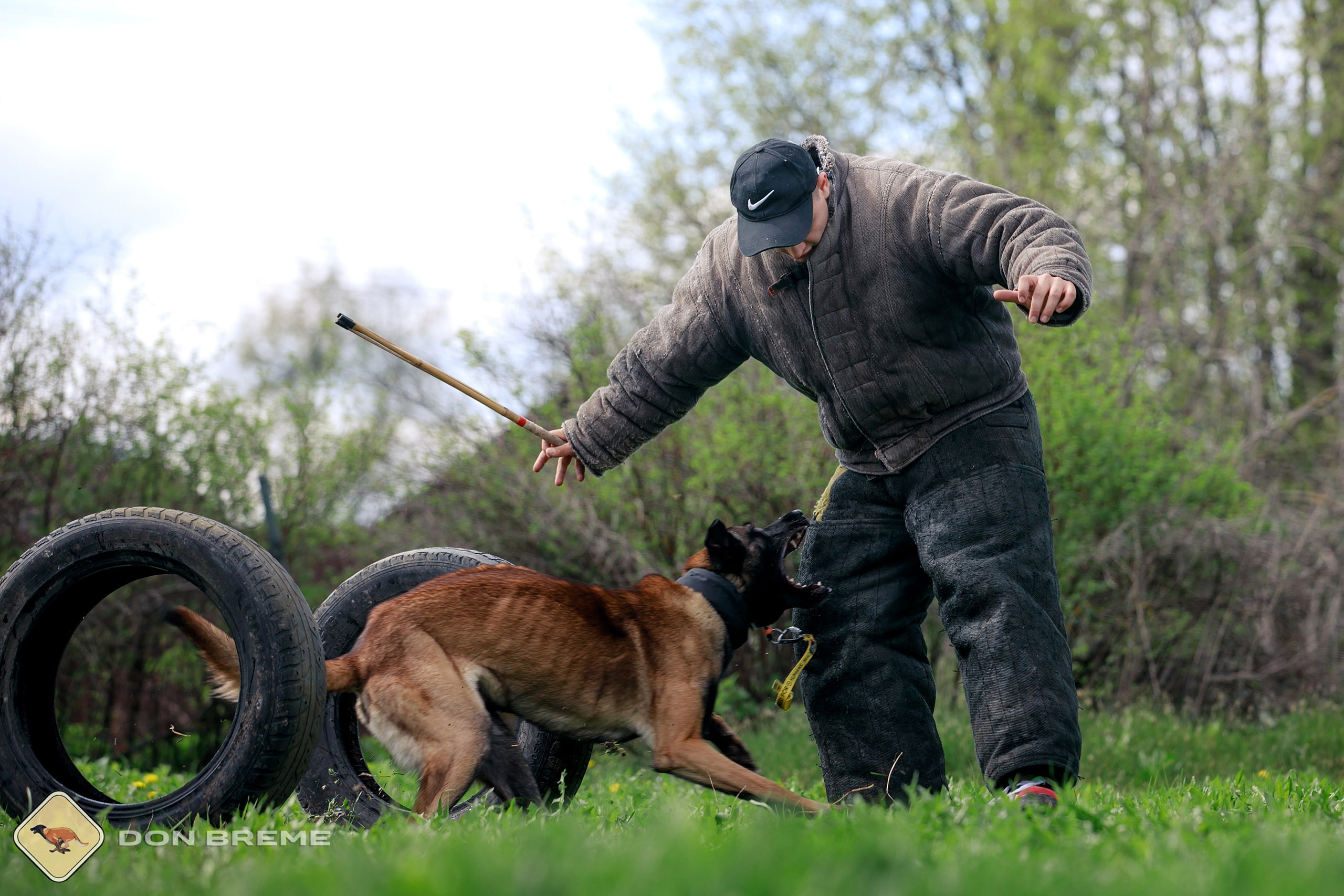 Семинар для фигурантов, день 2. Фотограф-анималист Mary Mart — Москва, Питер