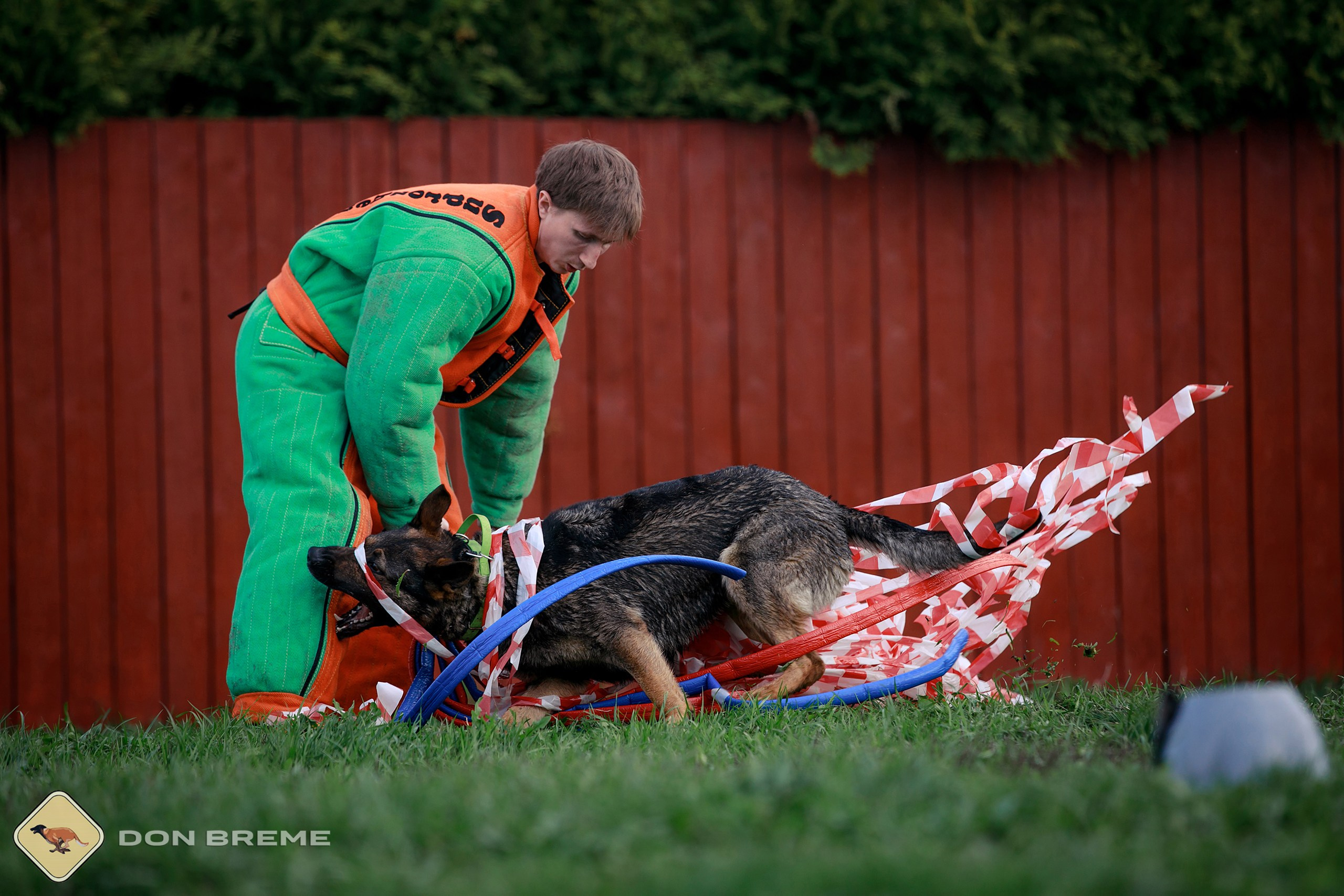 Семинар для фигурантов, день 2. Фотограф-анималист Mary Mart — Москва, Питер