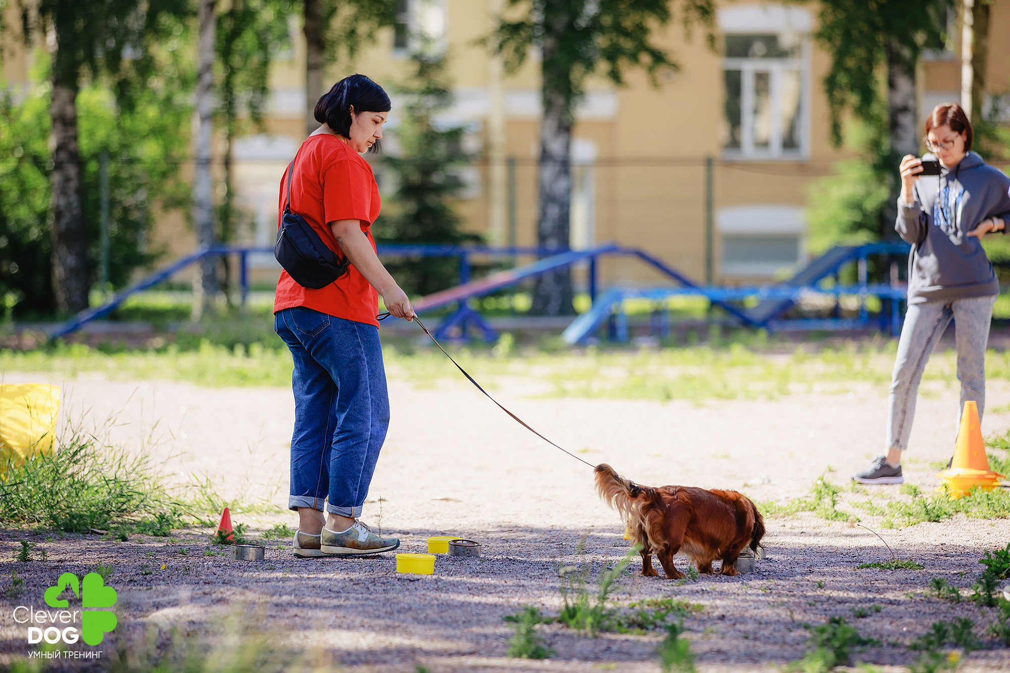 Семинар по поиску запаха с Иваном Ломовым, организатор CleverDog, СПб. Фотограф-анималист Mary Mart — Москва, Питер
