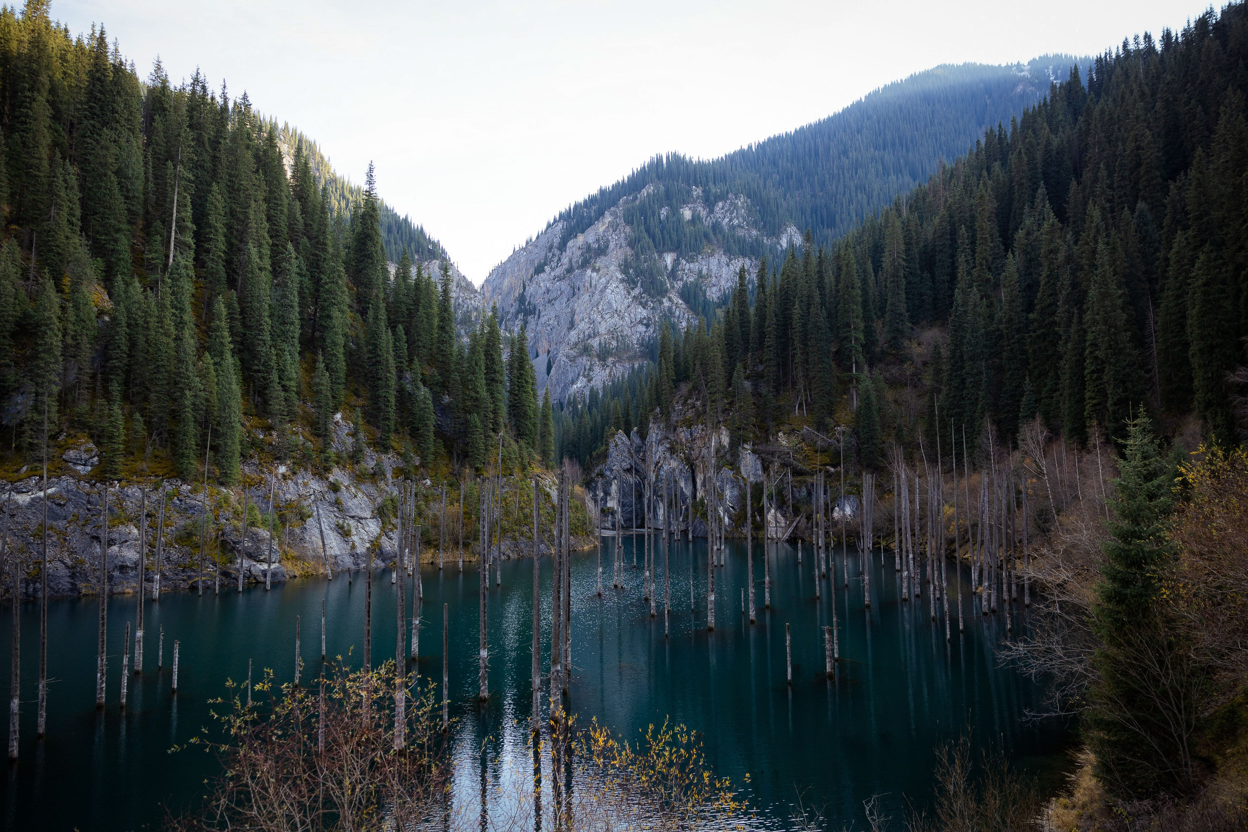 Казахстан (осень 2024). Фотограф Виноградов Константин