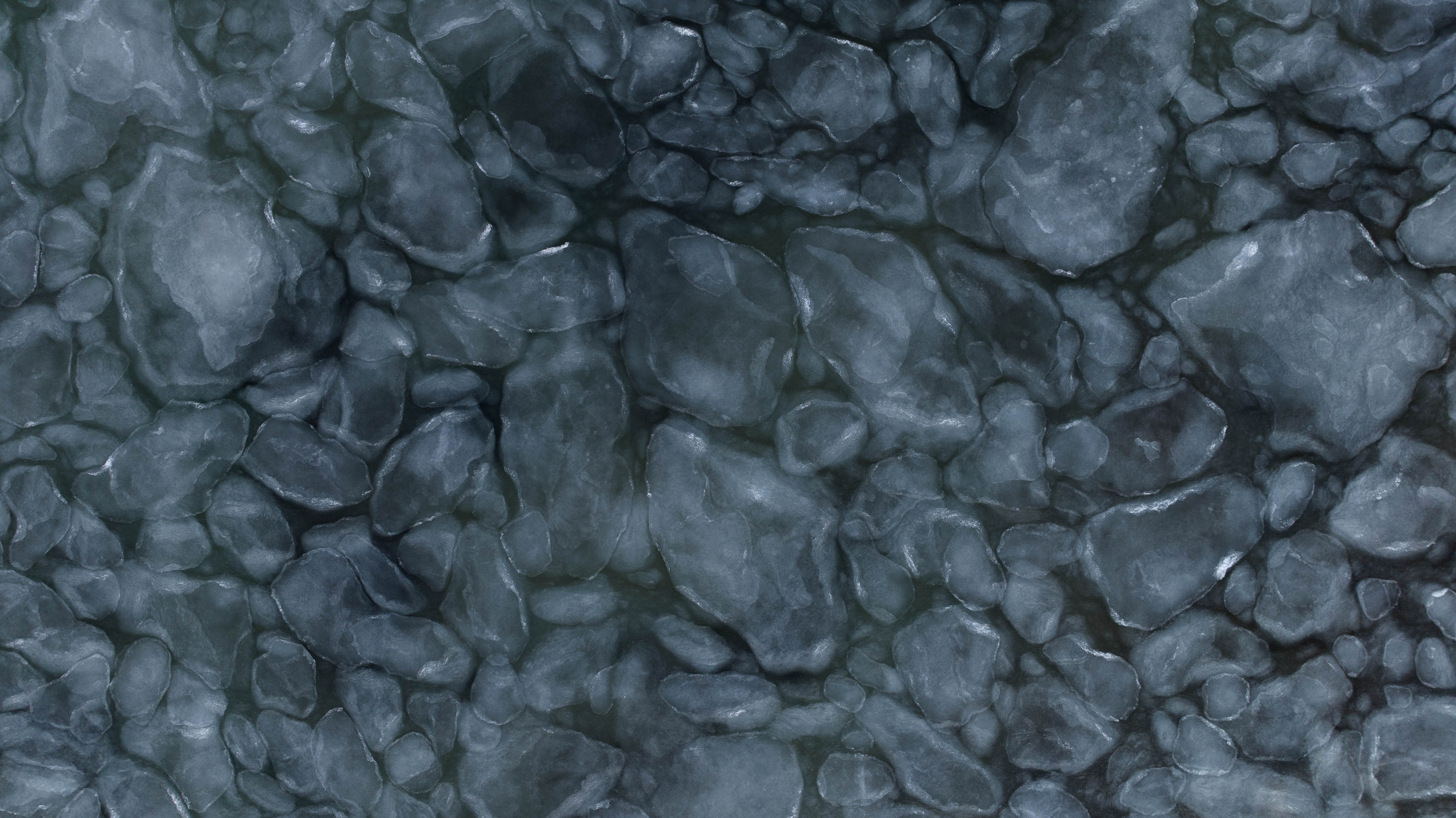 Бухта Пущина. Турист оптимист