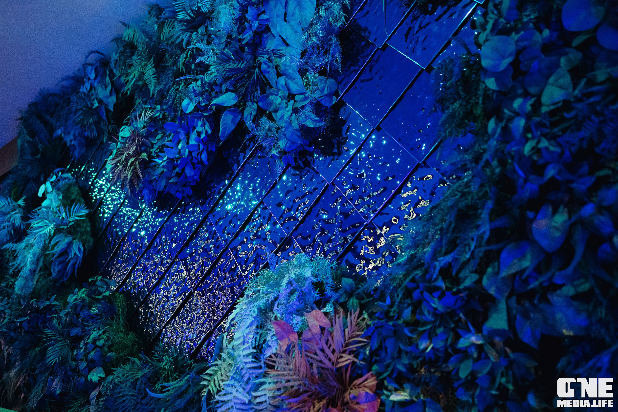 Фоторепортаж из ресторана Океан. One Media Life: фоторепортажи, фотоотчеты с мероприятий и заведений