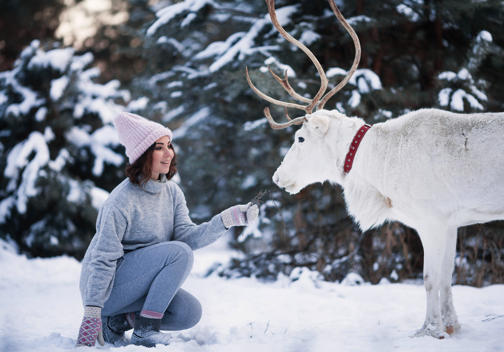 novogodnyaya-fotosessiya-na-ulice-16