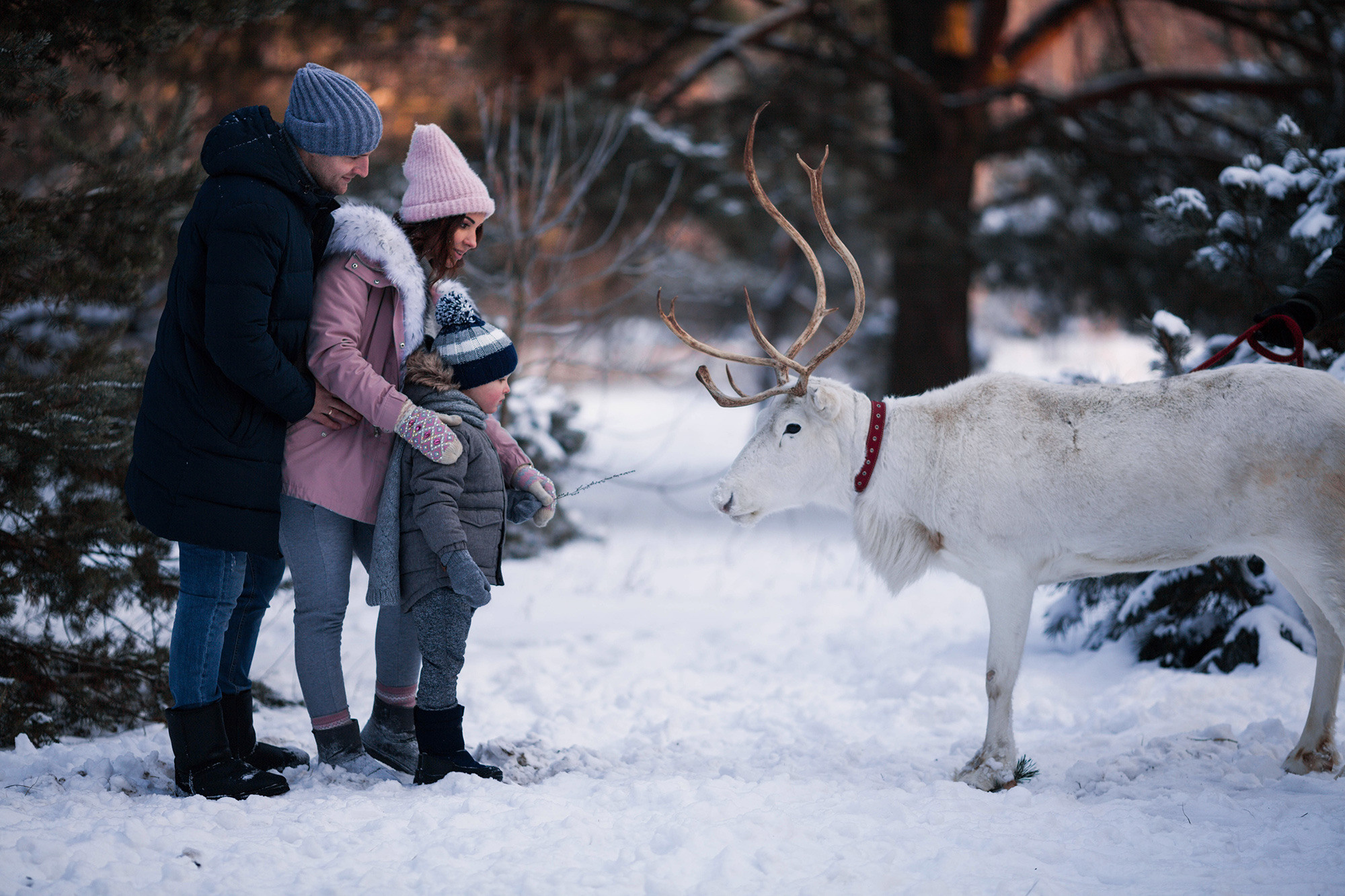 novogodnyaya-fotosessiya-na-ulice-17