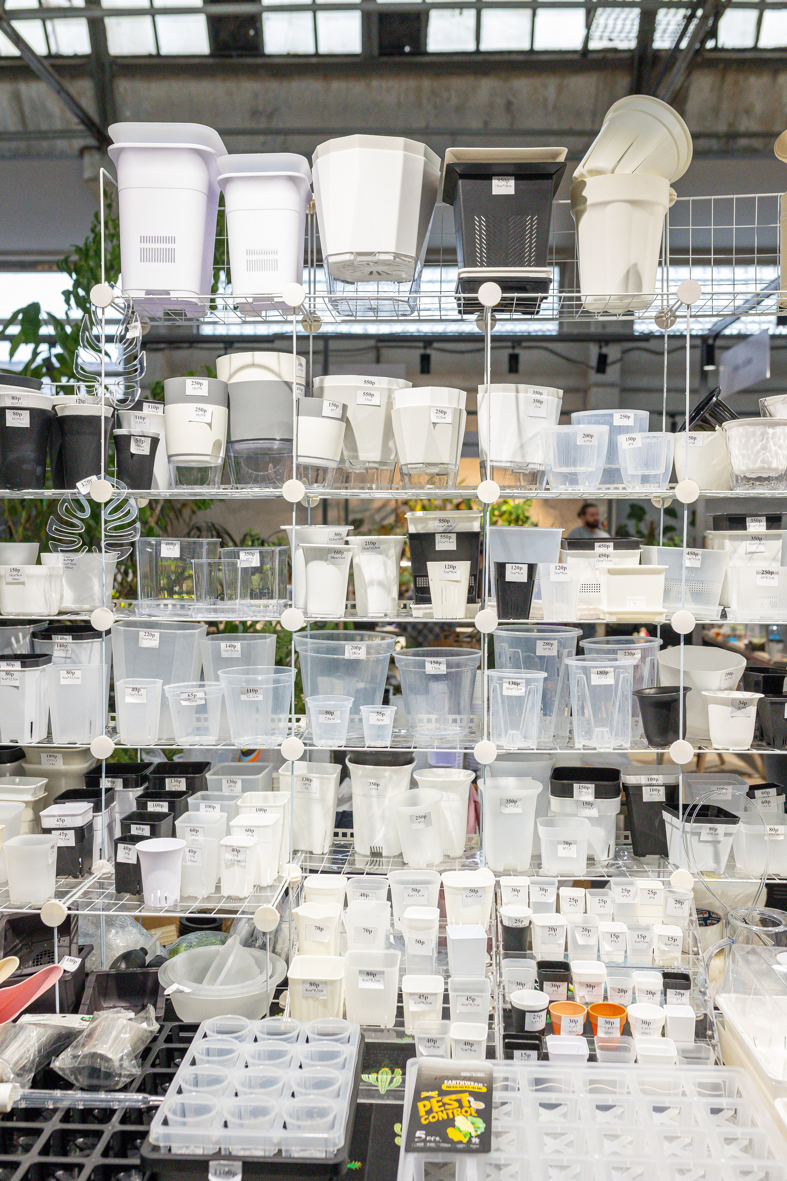 Ярмарка Green Rare 20.09.25. Александра Куликова фотограф, Москва