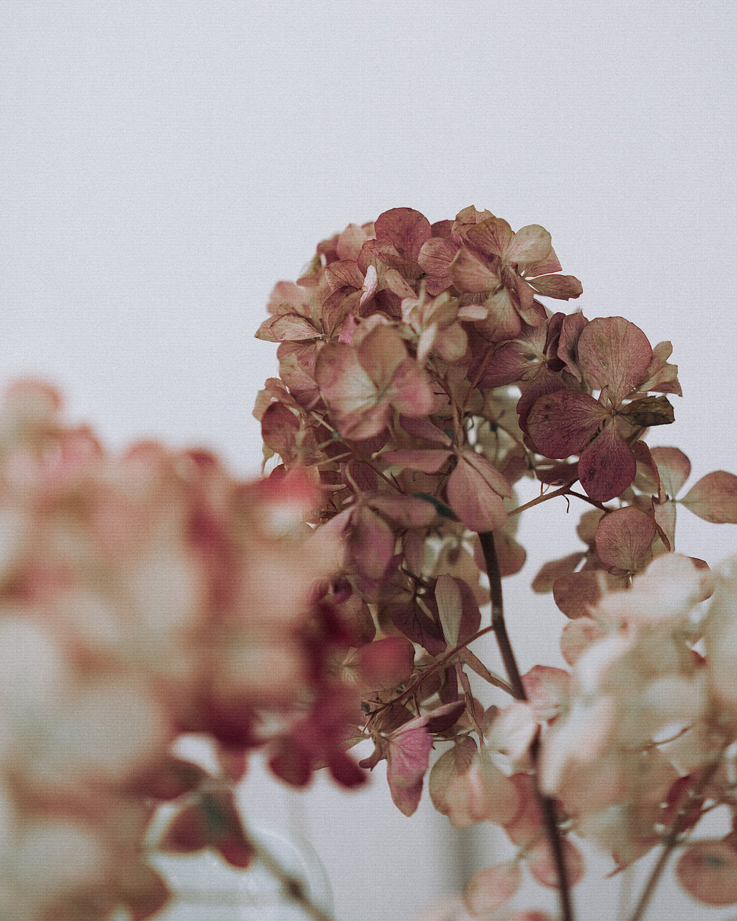 Индивидуальная съёмка Ольги в Чебоксарах. Индивидуальная и семейная фотосессия в Чебоксарах Оксана Русакова