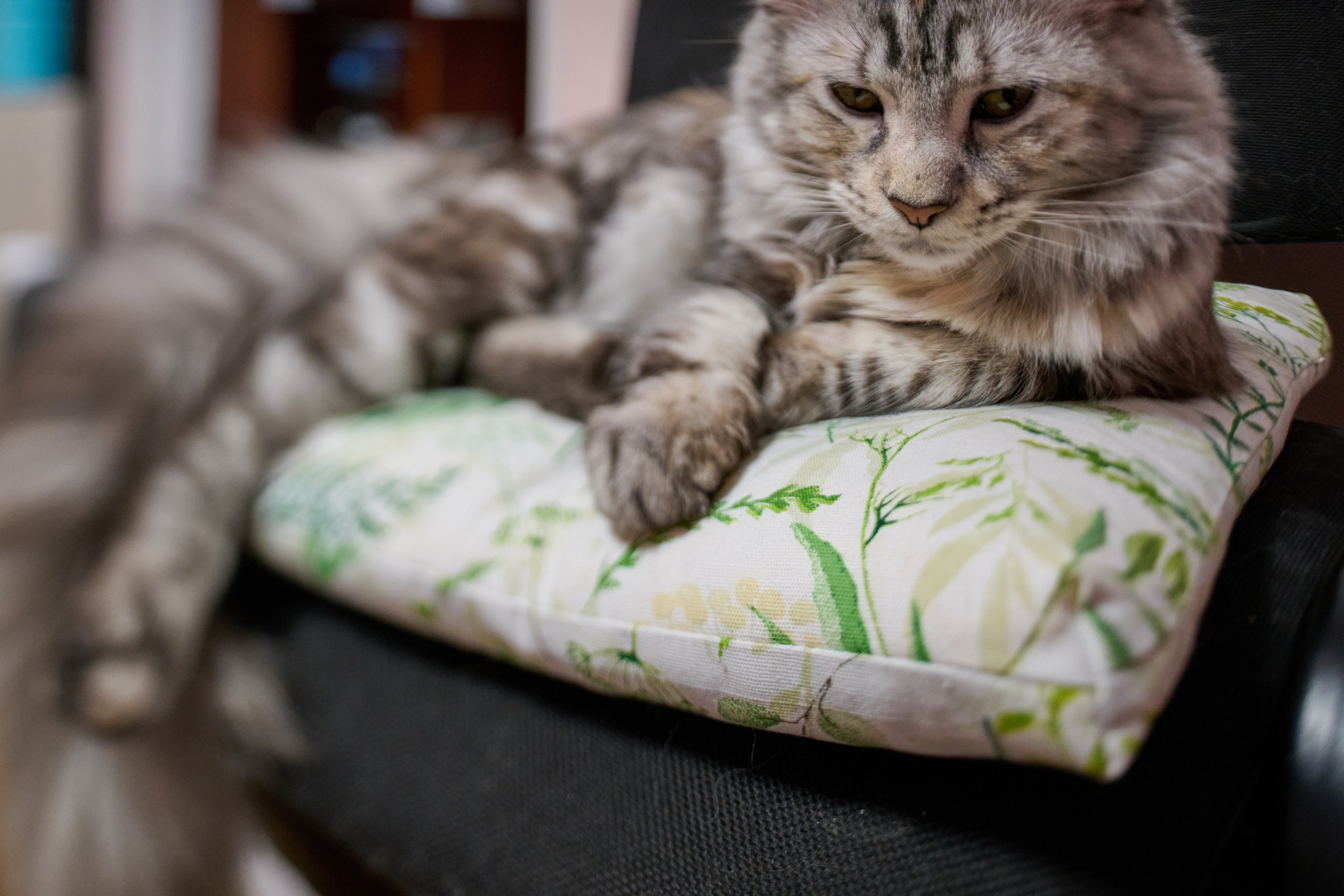 «Белка» — проба на tilt-shift 24 мм. Роман Свободный — интерьерная и архитектурная съёмка, Москва и МО