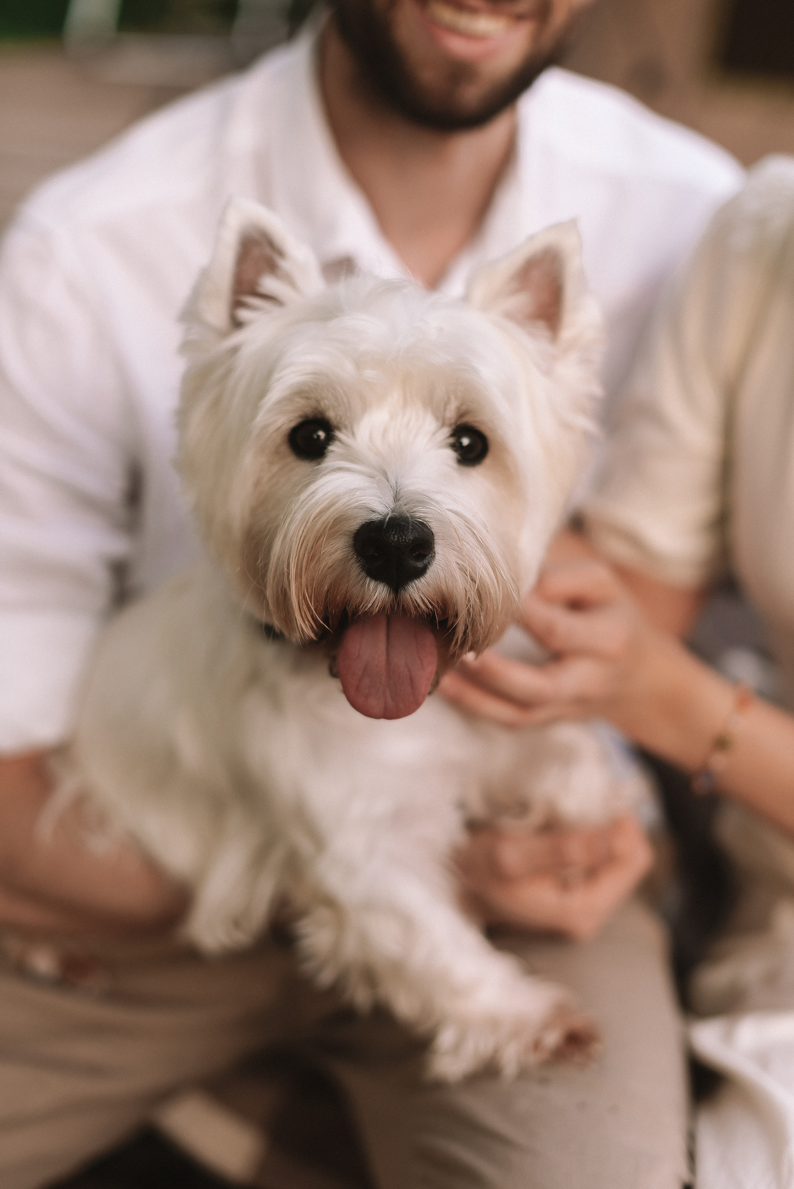 Виктория + Ярослав. Свадебный и семейный фотограф в Волгограде Олеся Лисицкая