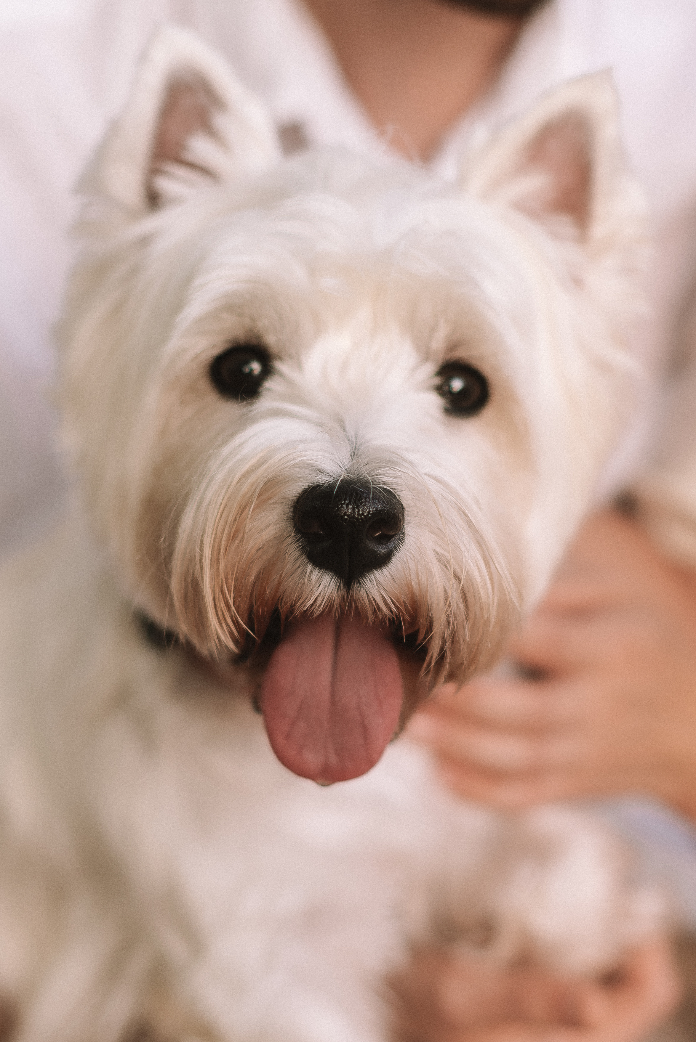 Виктория + Ярослав. Свадебный и семейный фотограф в Волгограде Олеся Лисицкая