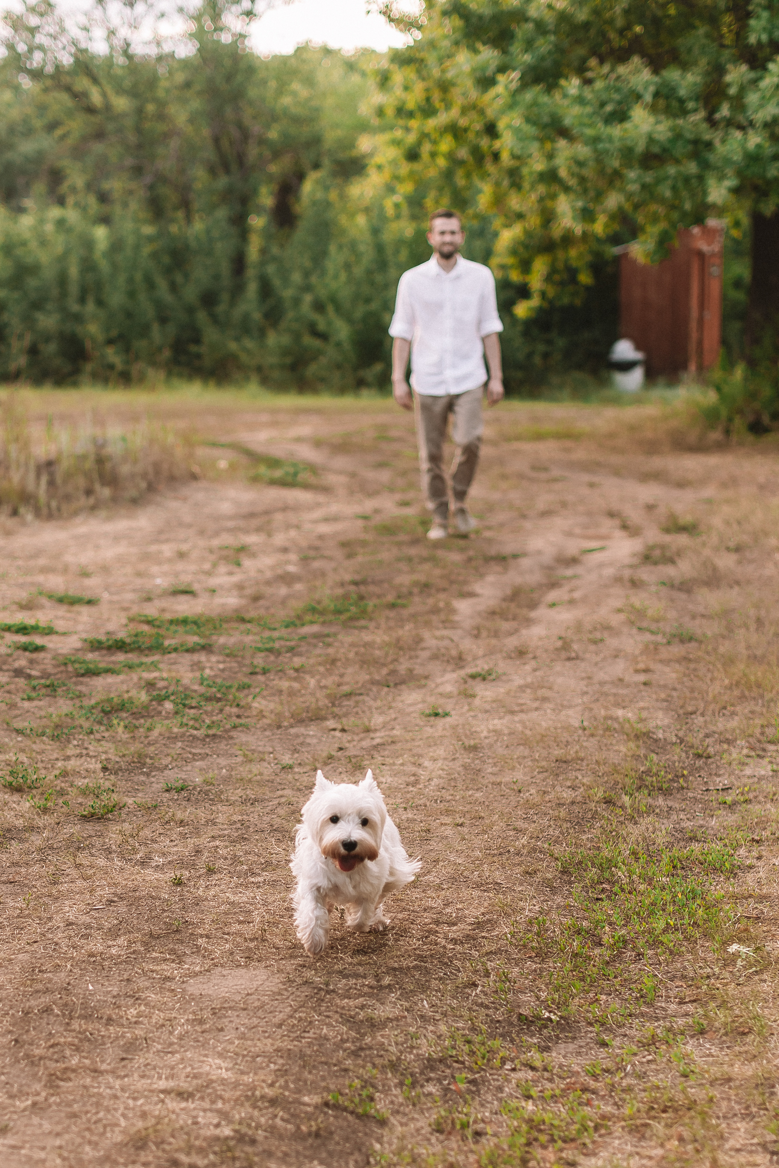 Виктория + Ярослав. Свадебный и семейный фотограф в Волгограде Олеся Лисицкая