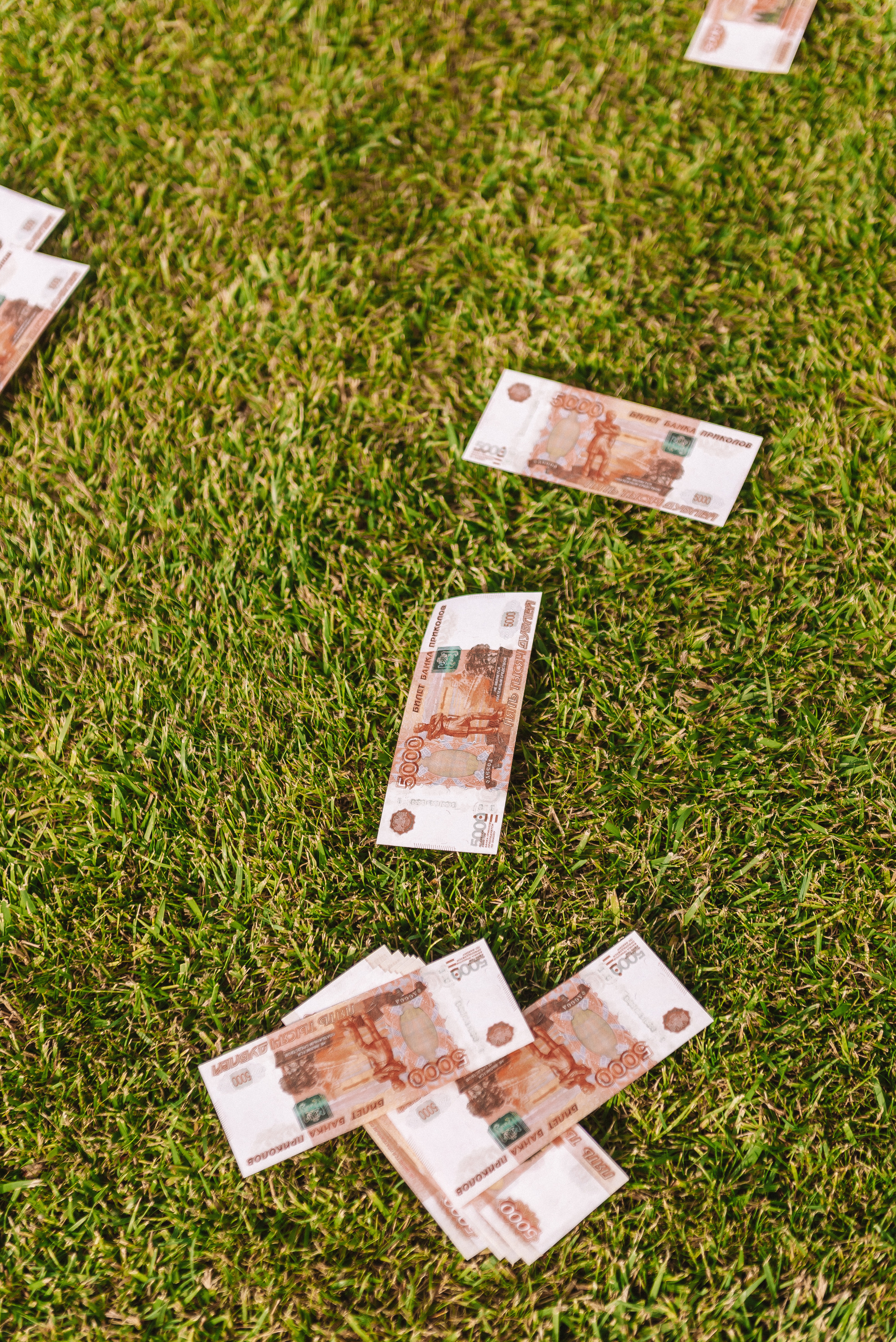 Лера + Дима. Свадебный и семейный фотограф в Волгограде Олеся Лисицкая