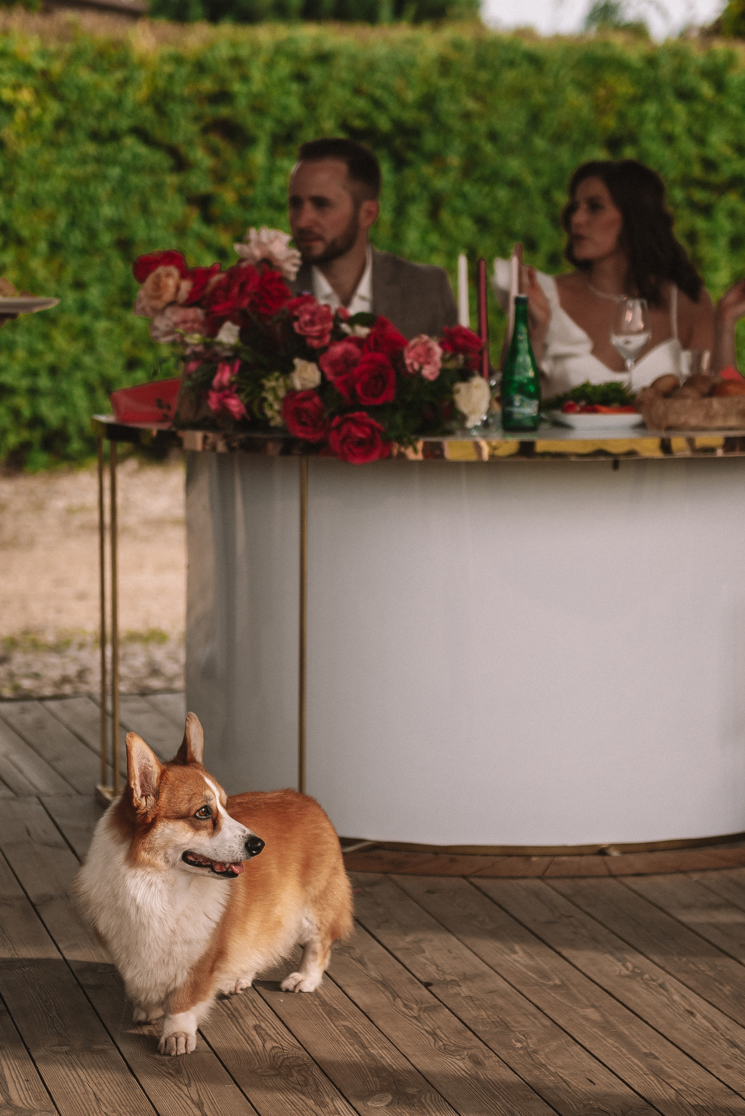 Лера + Дима. Свадебный и семейный фотограф в Волгограде Олеся Лисицкая
