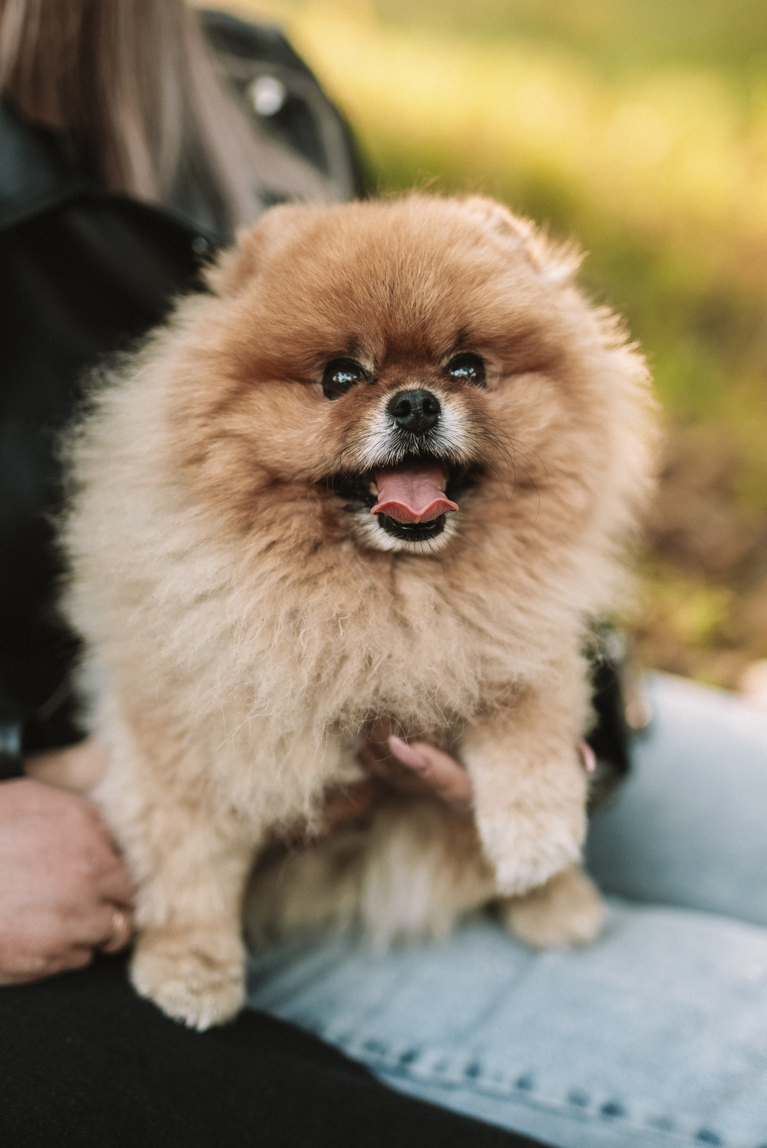 Оля + Максим + Матвей + бабушки. Свадебный и семейный фотограф в Волгограде Олеся Лисицкая