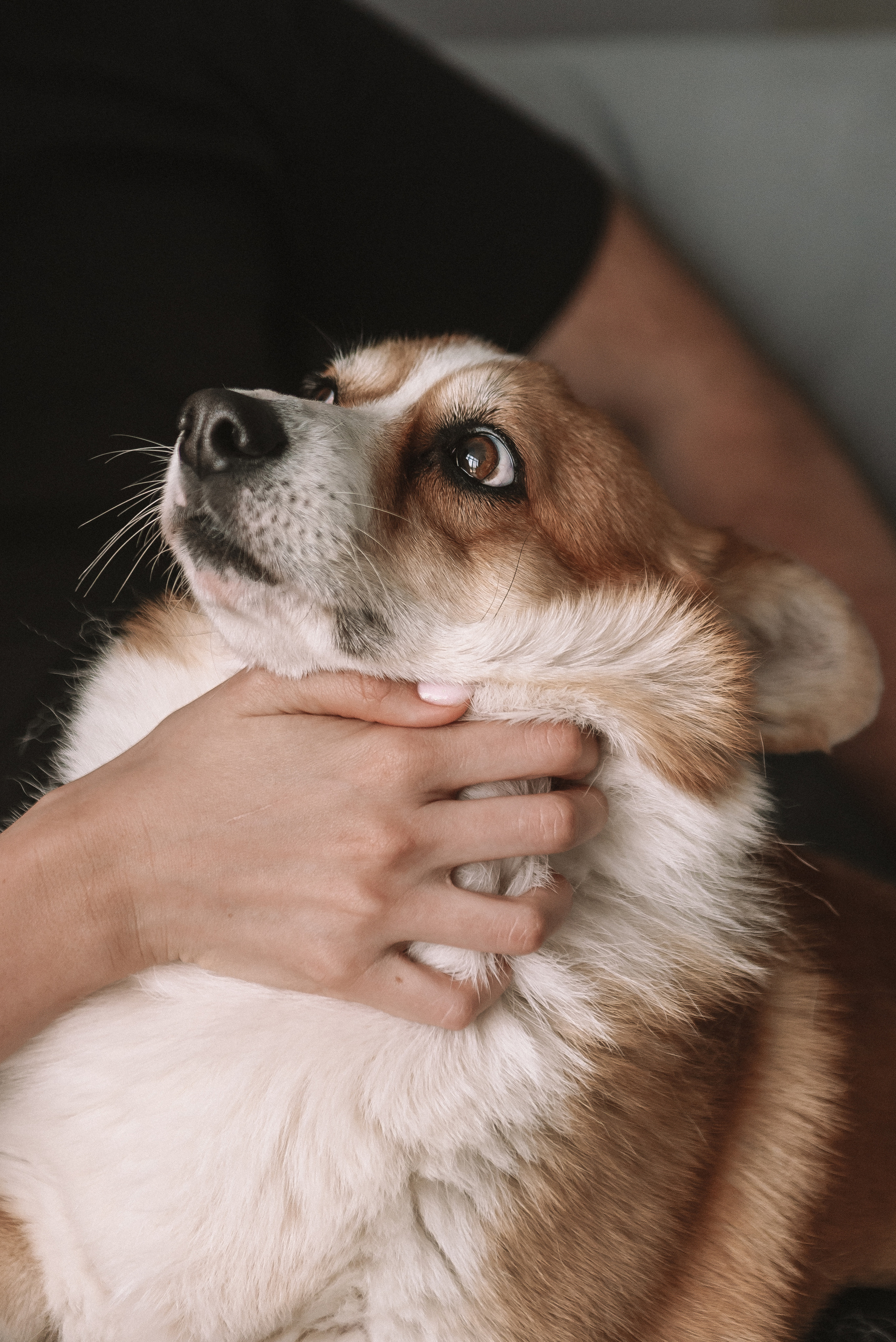 Лера + Дима. Свадебный и семейный фотограф в Волгограде Олеся Лисицкая