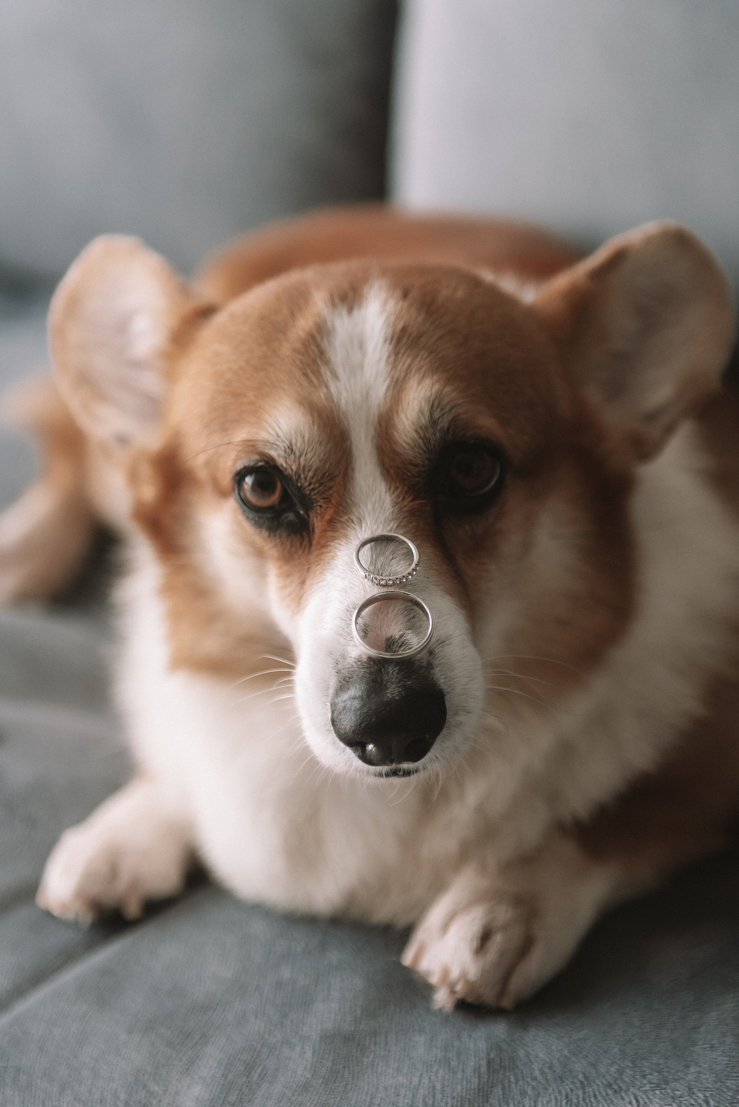 Лера + Дима. Свадебный и семейный фотограф в Волгограде Олеся Лисицкая