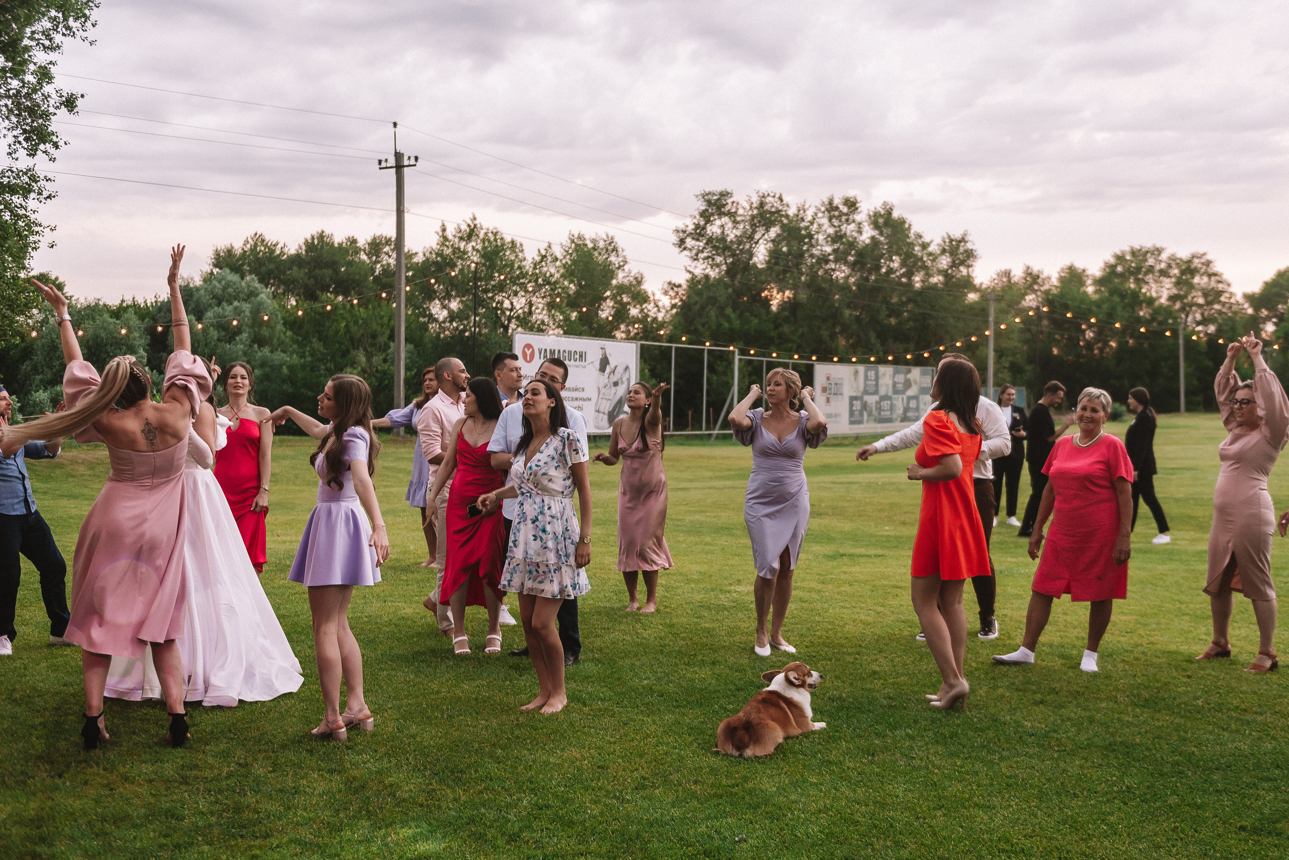 Лера + Дима. Свадебный и семейный фотограф в Волгограде Олеся Лисицкая