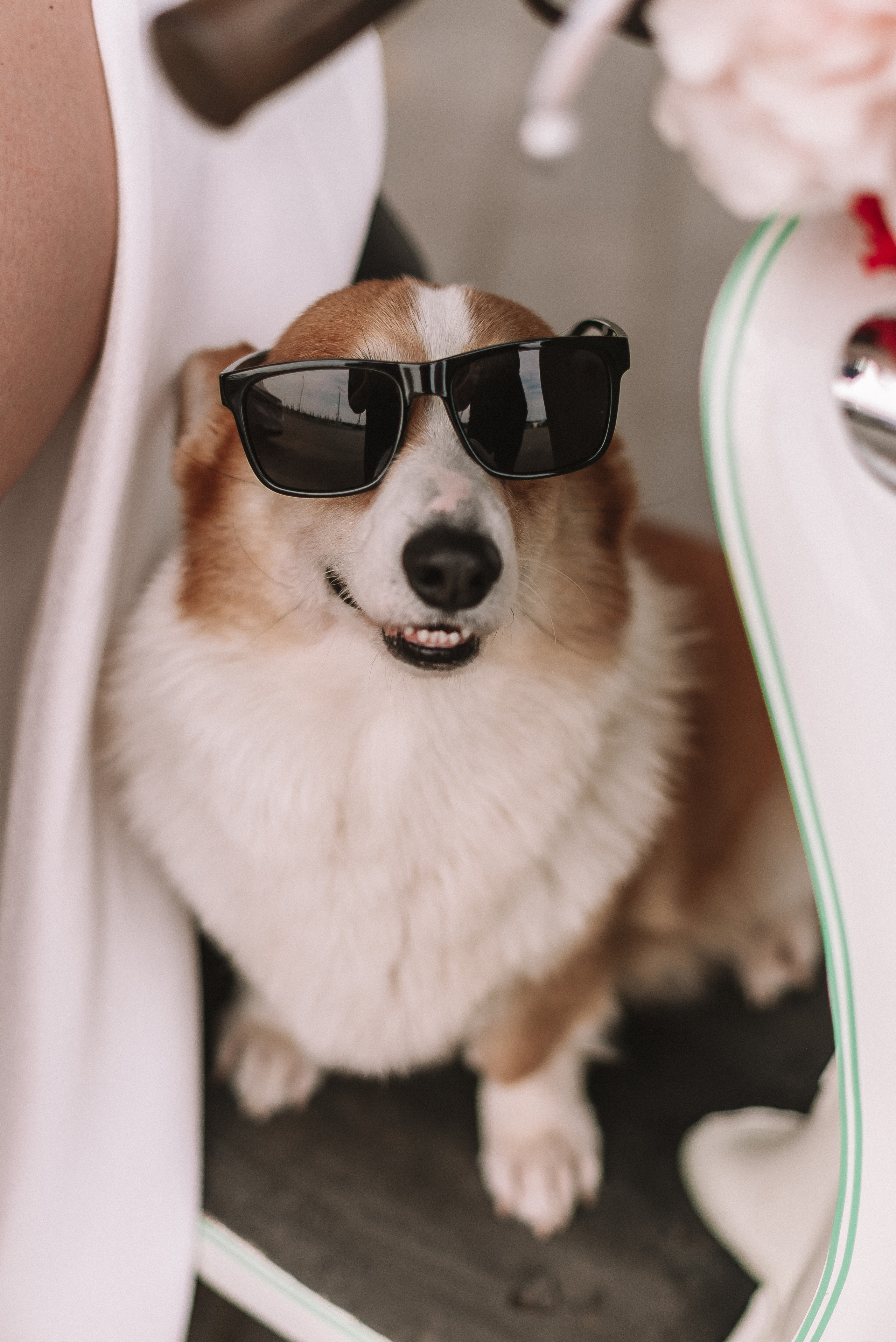 Лера + Дима. Свадебный и семейный фотограф в Волгограде Олеся Лисицкая