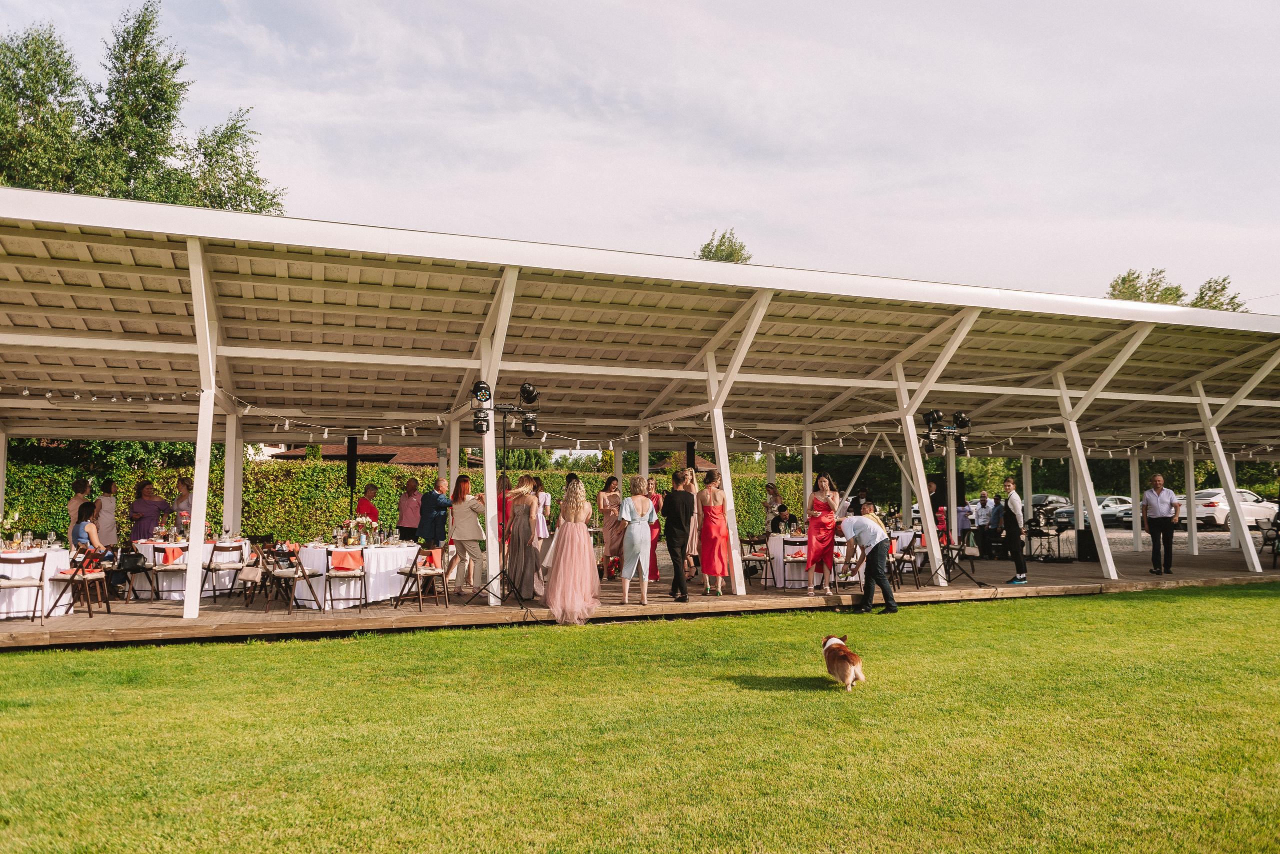 Лера + Дима. Свадебный и семейный фотограф в Волгограде Олеся Лисицкая