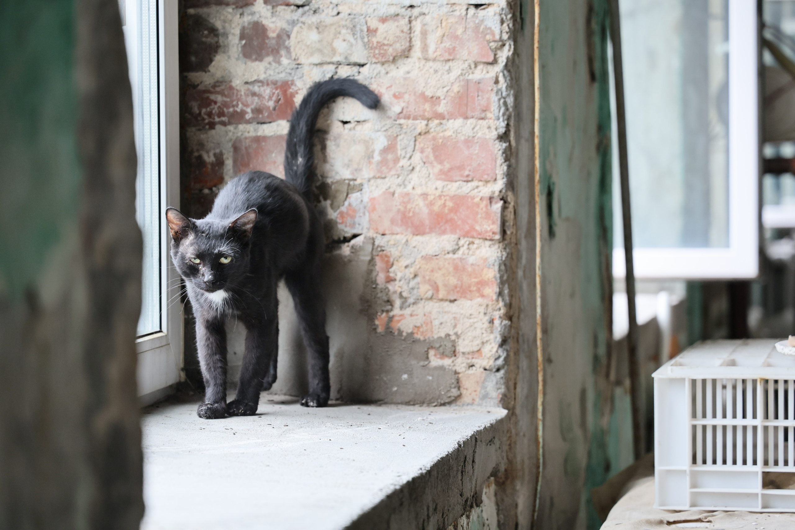 Производство. Фотограф Алиса Болденкова