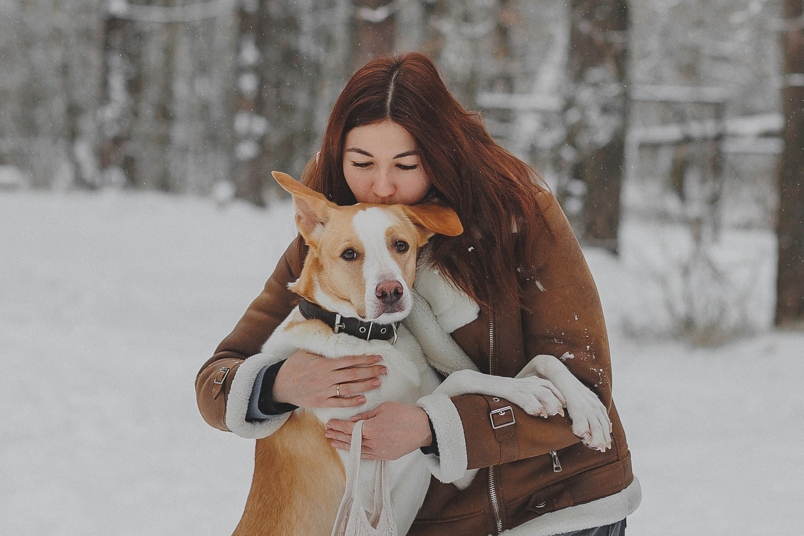 Зимняя фотосессия в лесу с собакой. Фотограф в Москве и Люберцах Анна Ушакова