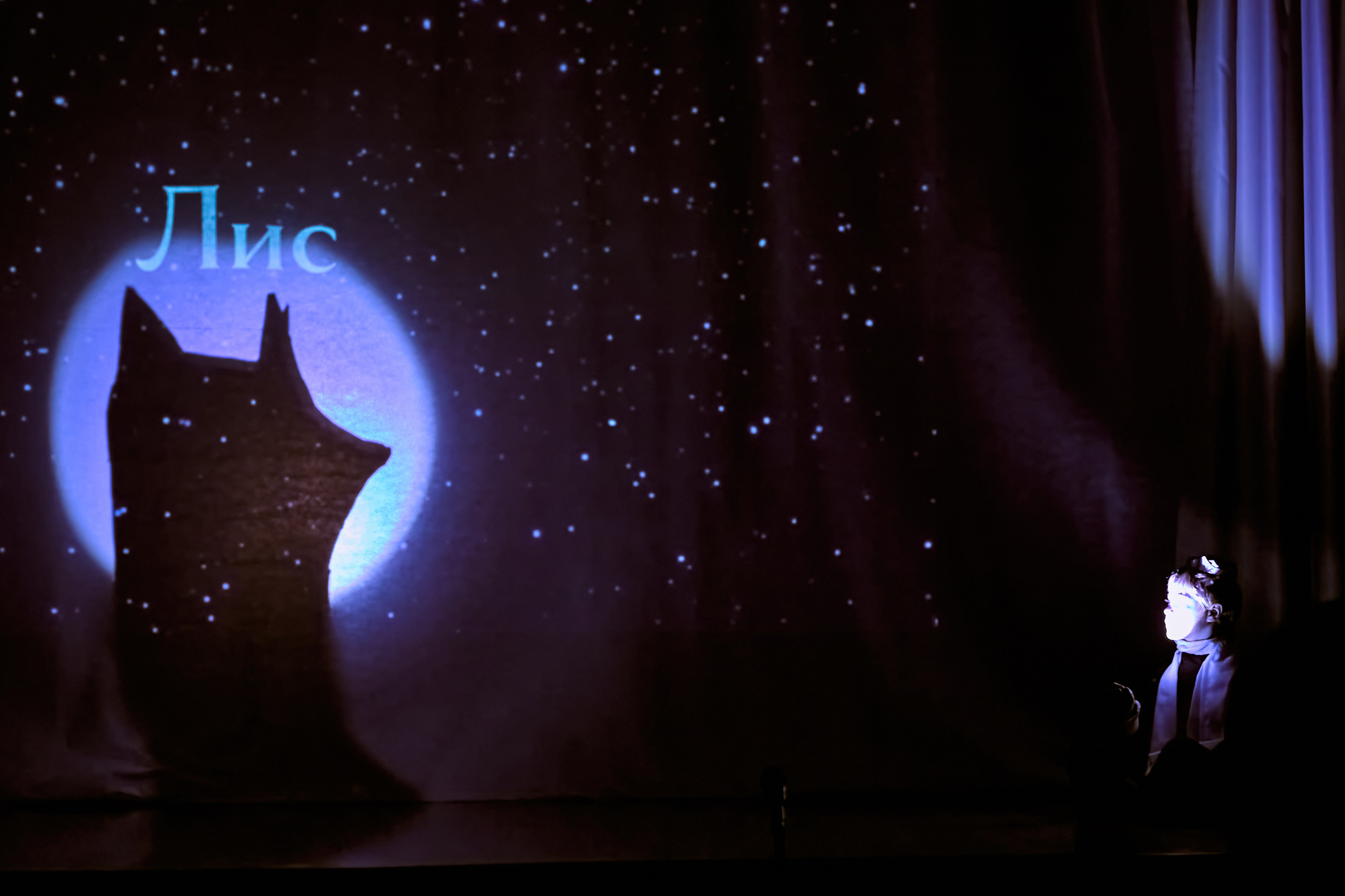 Фотографии с премьеры Маленький принц