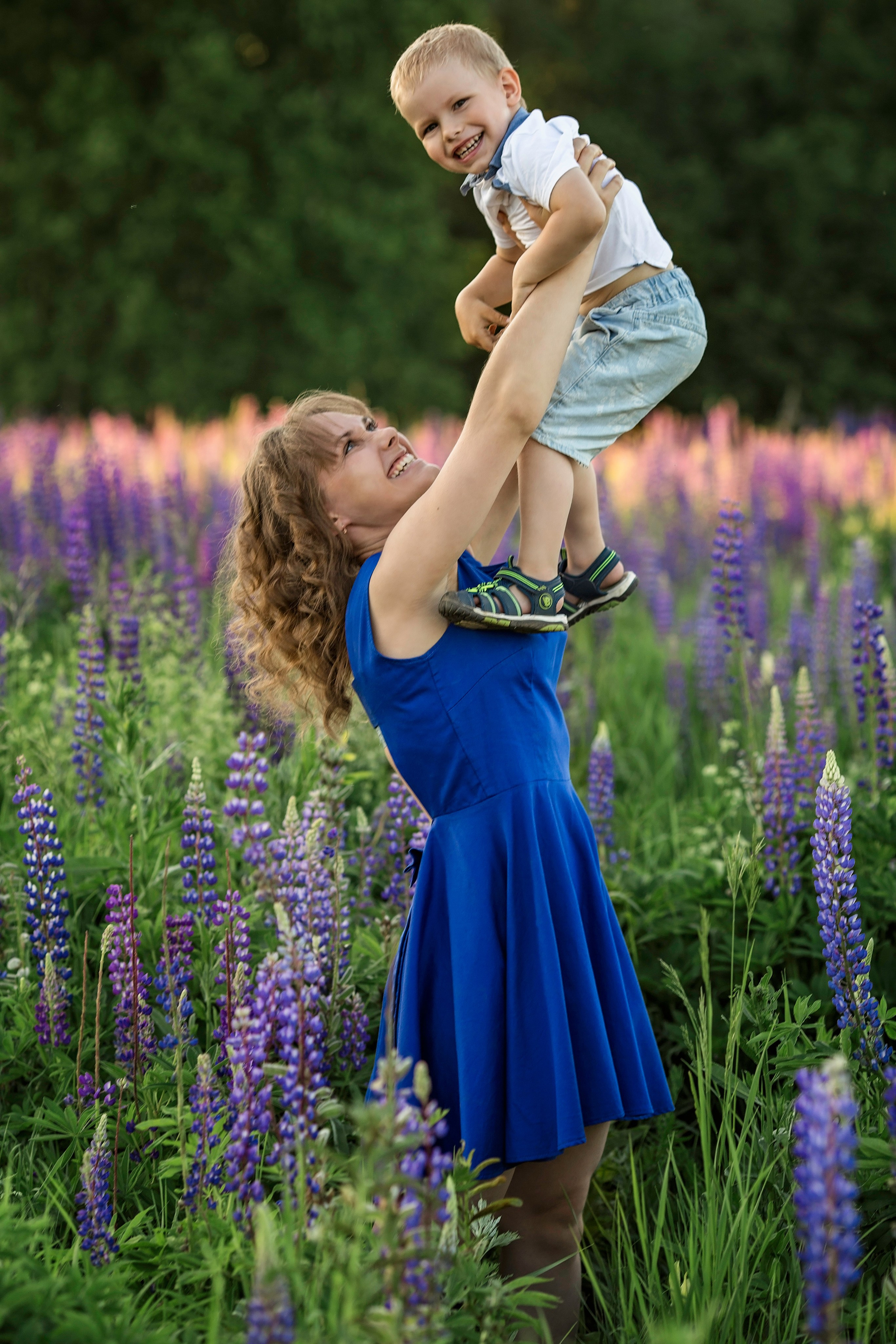 Индивидуальная фотосессия в люпинах (Анна). Главная