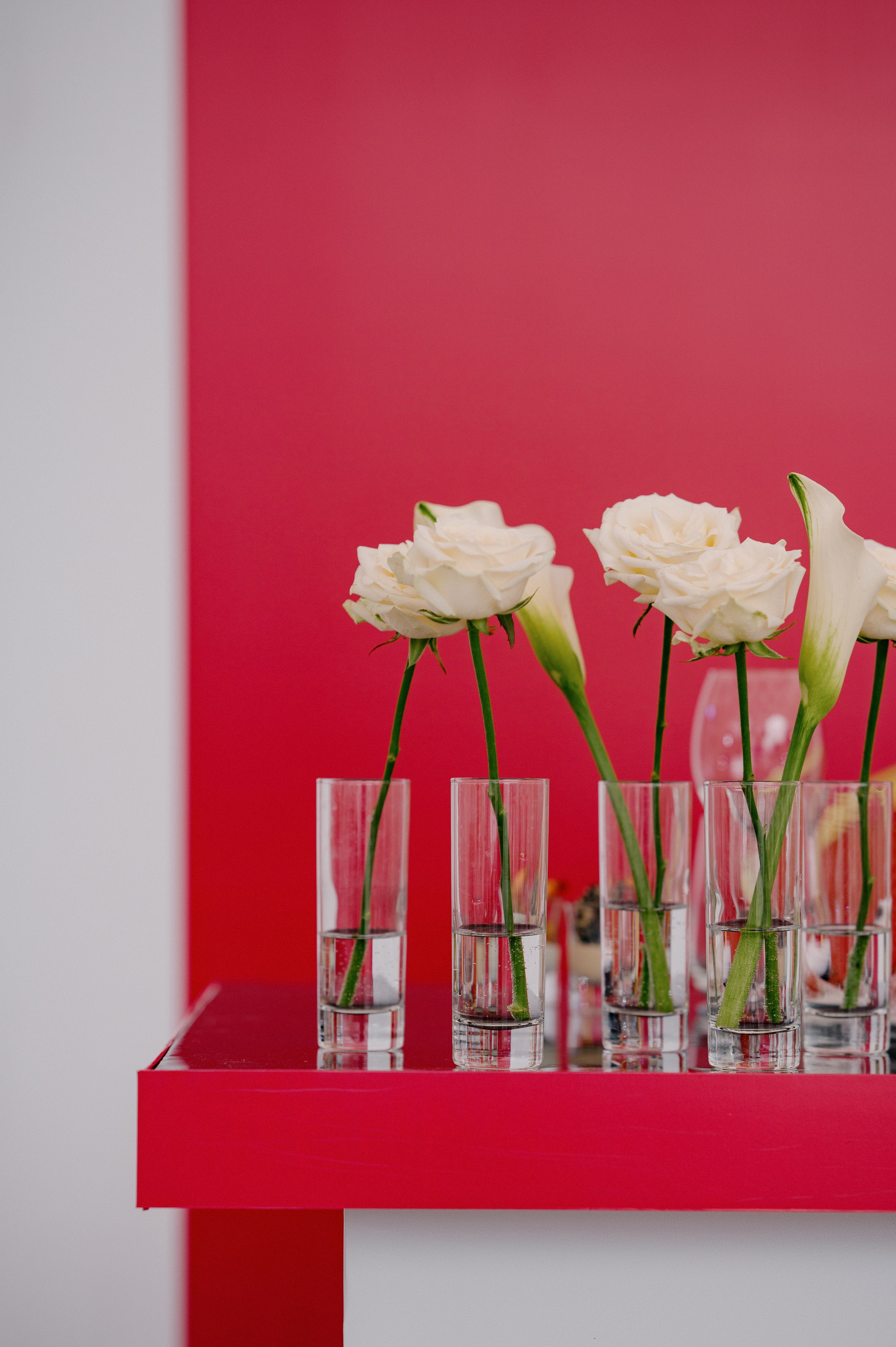 НАСТЯ И ЕГОР. Свадебный и семейный фотограф Никита Корохов