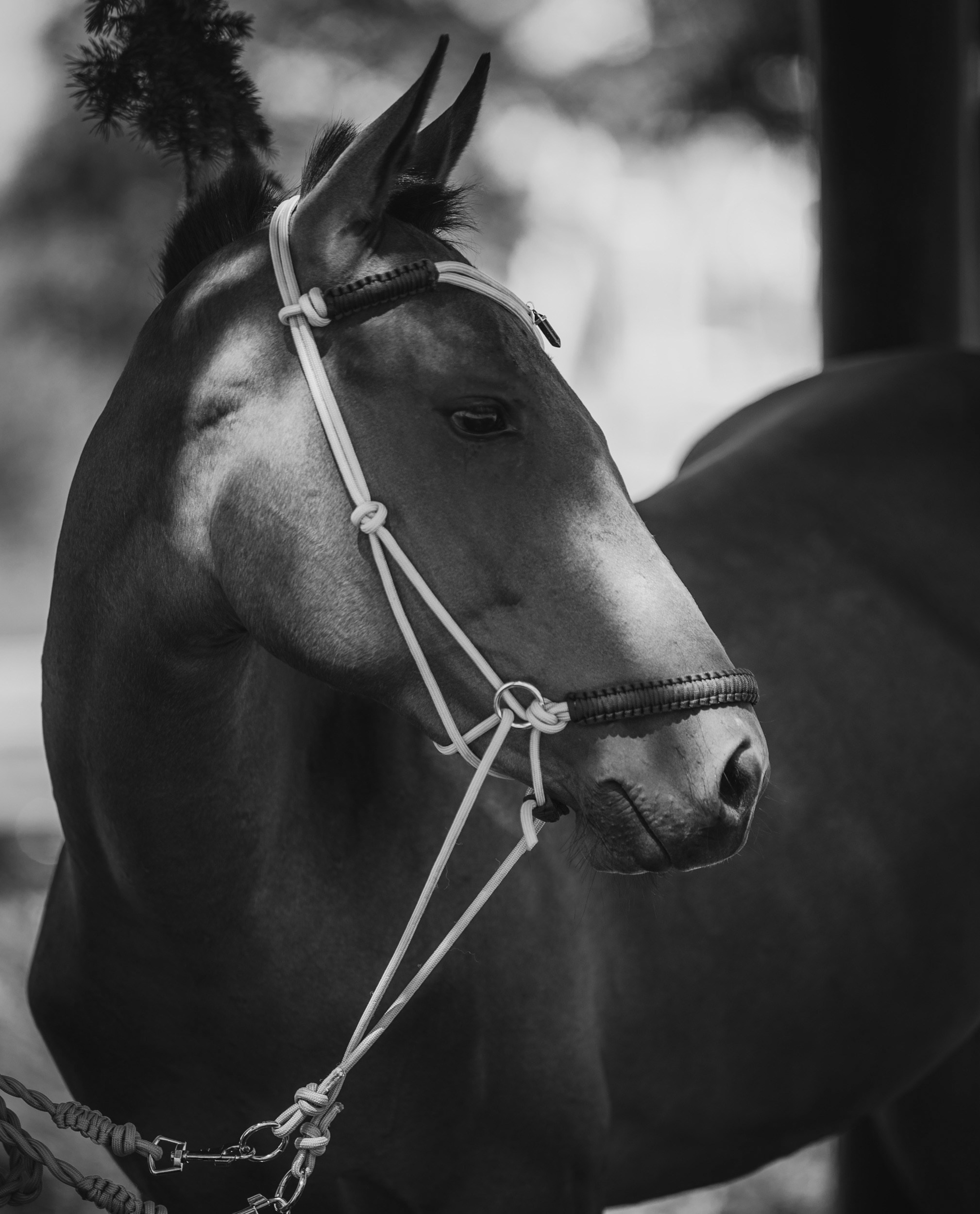 Даша и Сара.Мариуполь. Фотограф Варвара Ермоленко