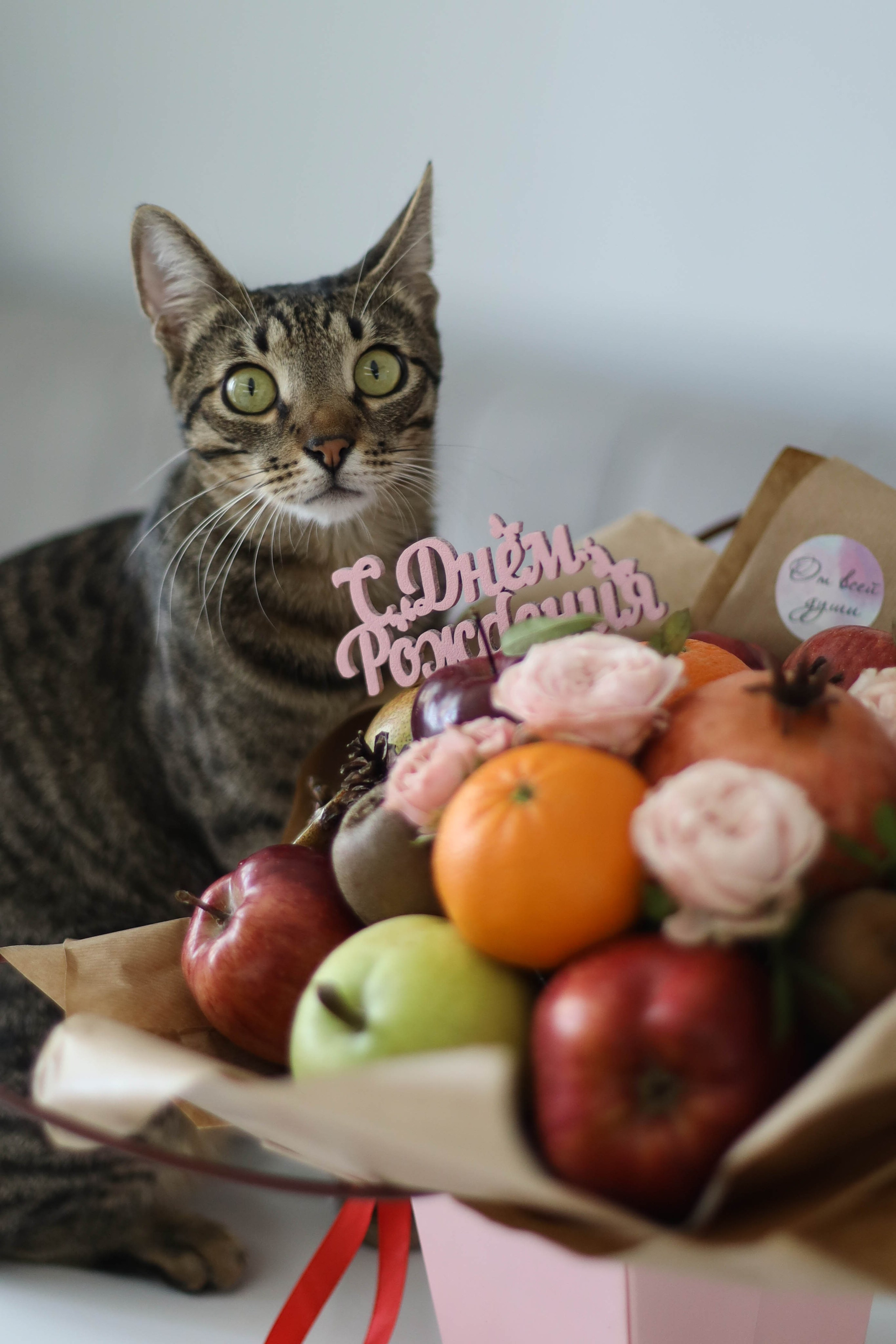 Фудбукеты. Семейный, детский, свадебный фотограф в Москве, Люберцах