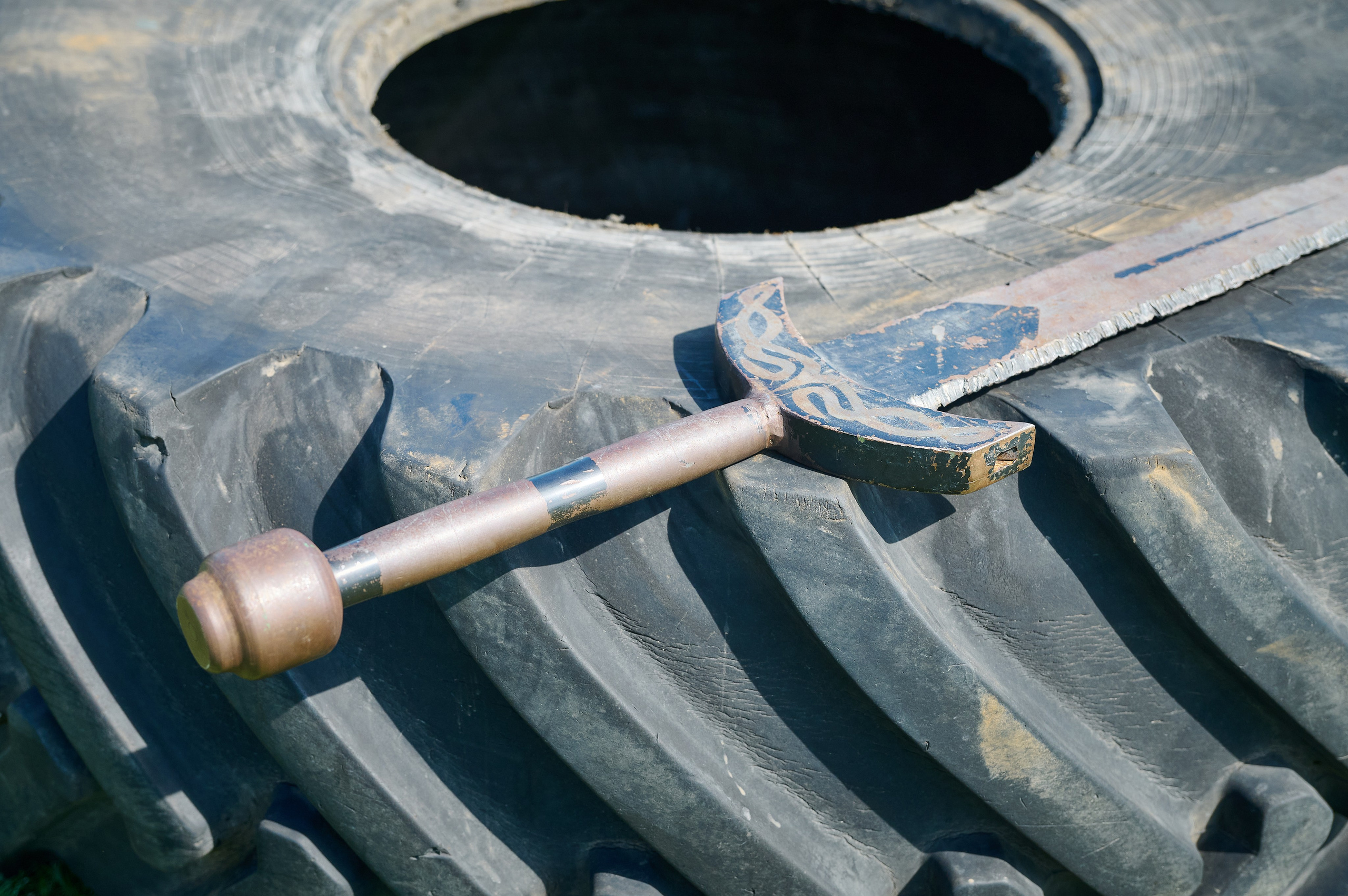 Земля спорта. Фотограф Опыт Качество Скорость Горный Алтай Барнаул