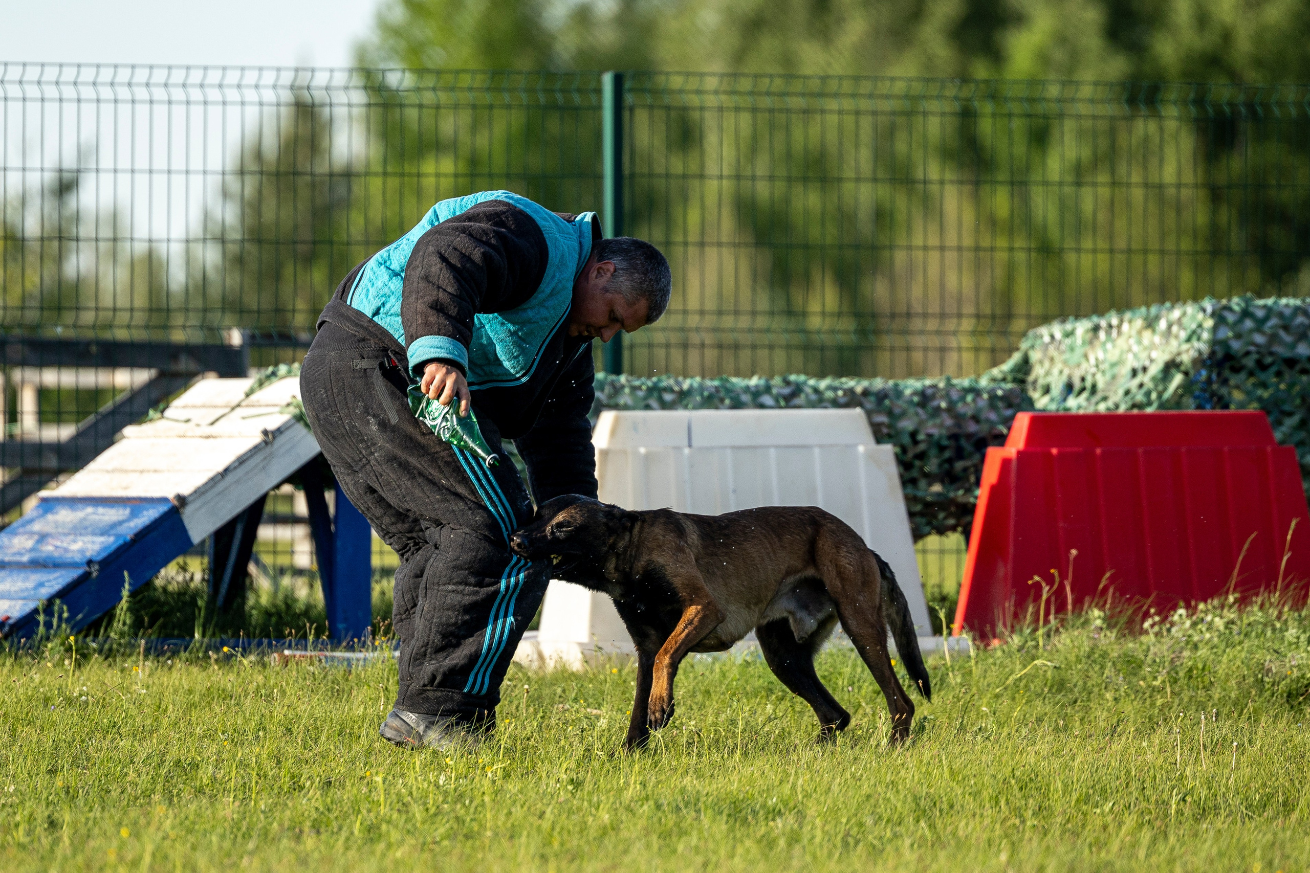 Испытания по мондьорингу в Нижнем Новгороде. Фотограф-анималист Анна Маринич