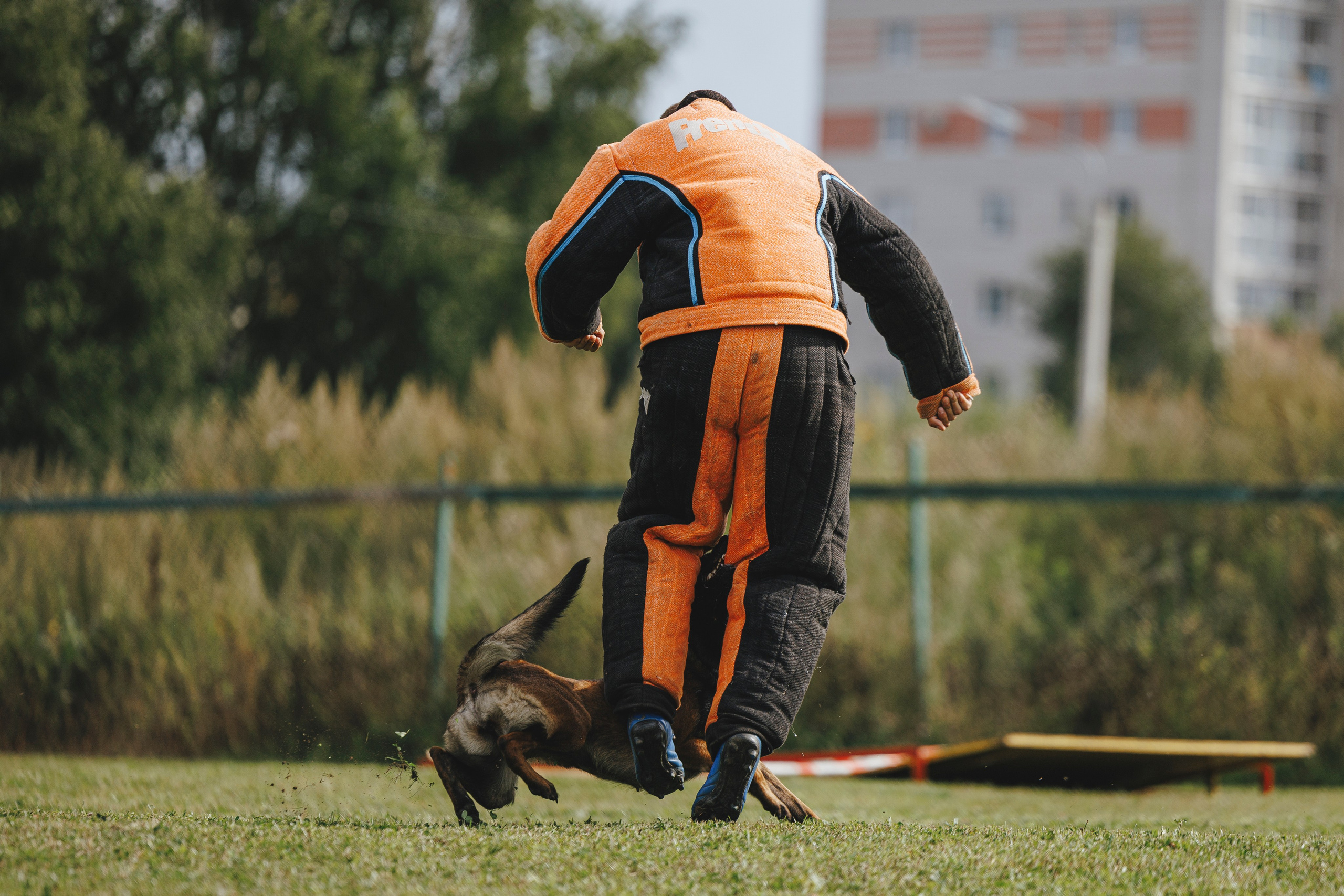 08.08.25-10.08.25 ЧР по мондьорингу г. Вологда. Фотограф-анималист Анна Маринич