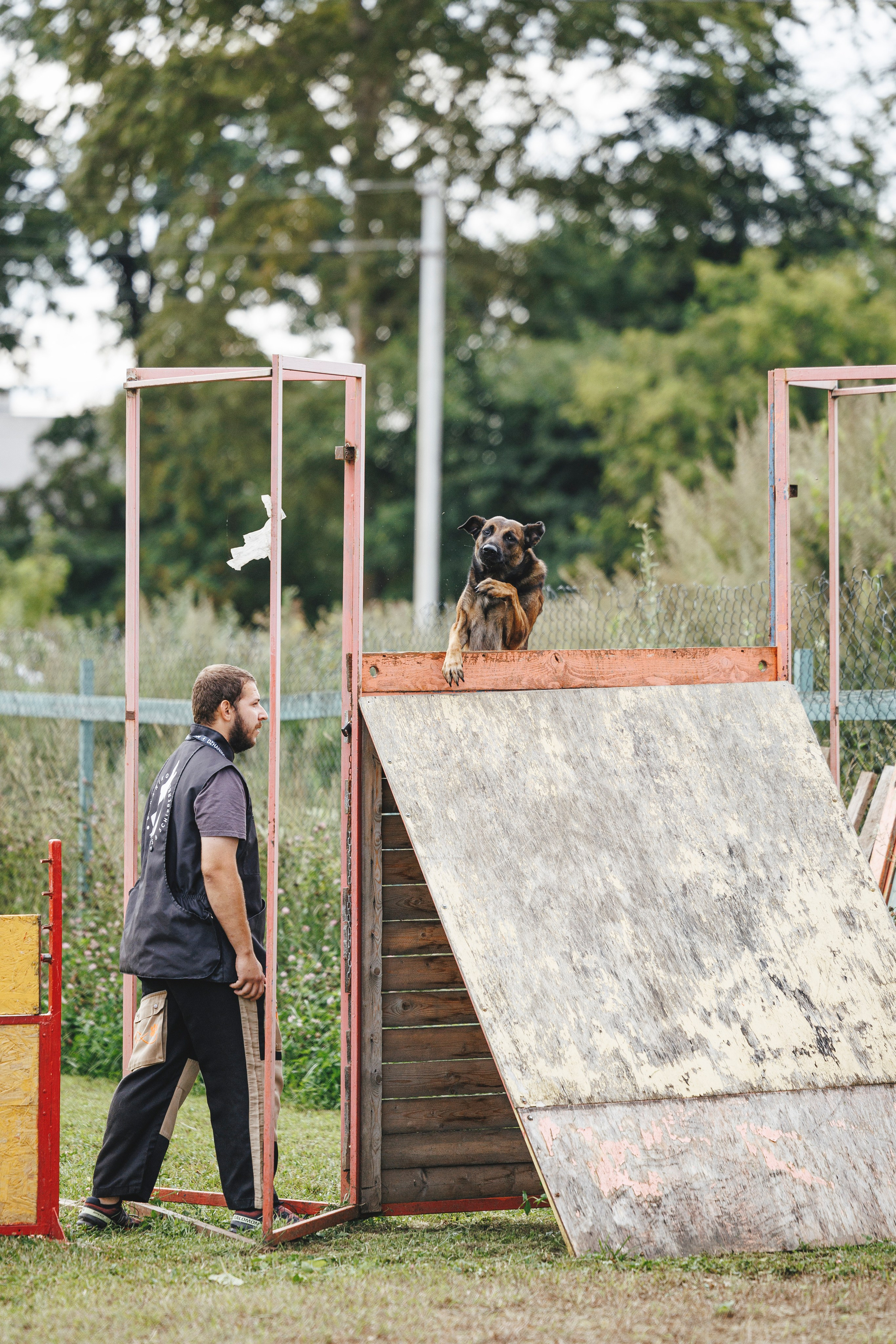 08.08.25-10.08.25 ЧР по мондьорингу г. Вологда. Фотограф-анималист Анна Маринич