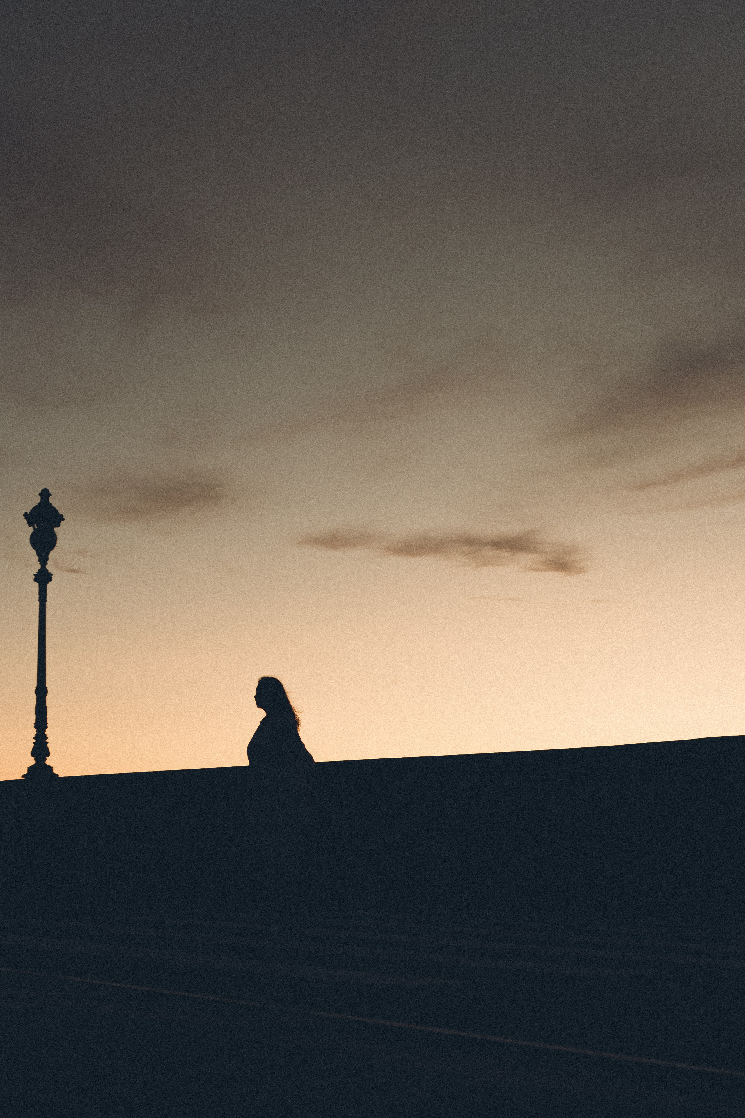 РАССВЕТ С РАЗВОДНЫМИ МОСТАМИ. Профессиональный фотограф, Санкт-Петербург — Виктория Богомолова