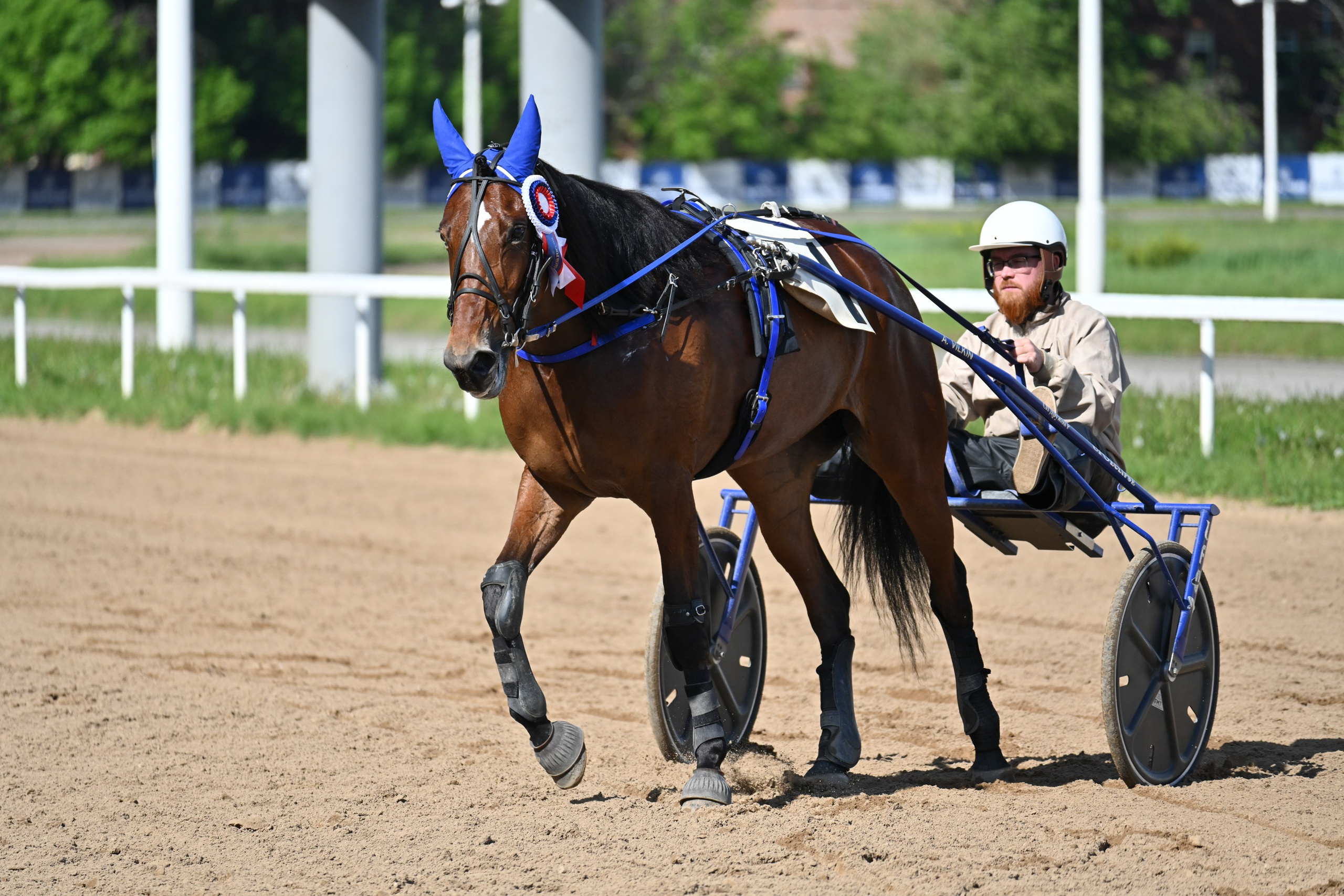 Ипподром (Москва). Fotolux