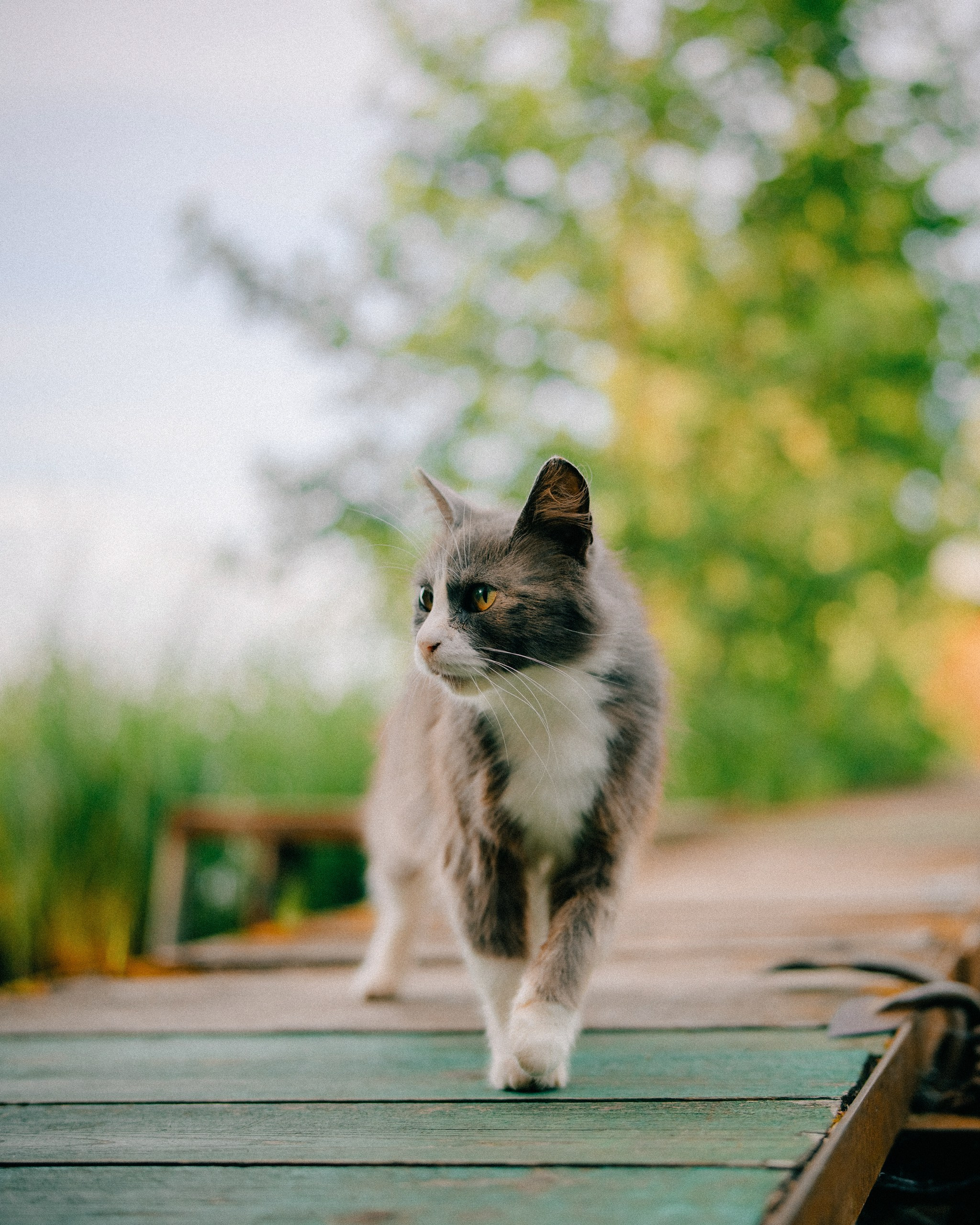 Yana. Асхат Бардынов