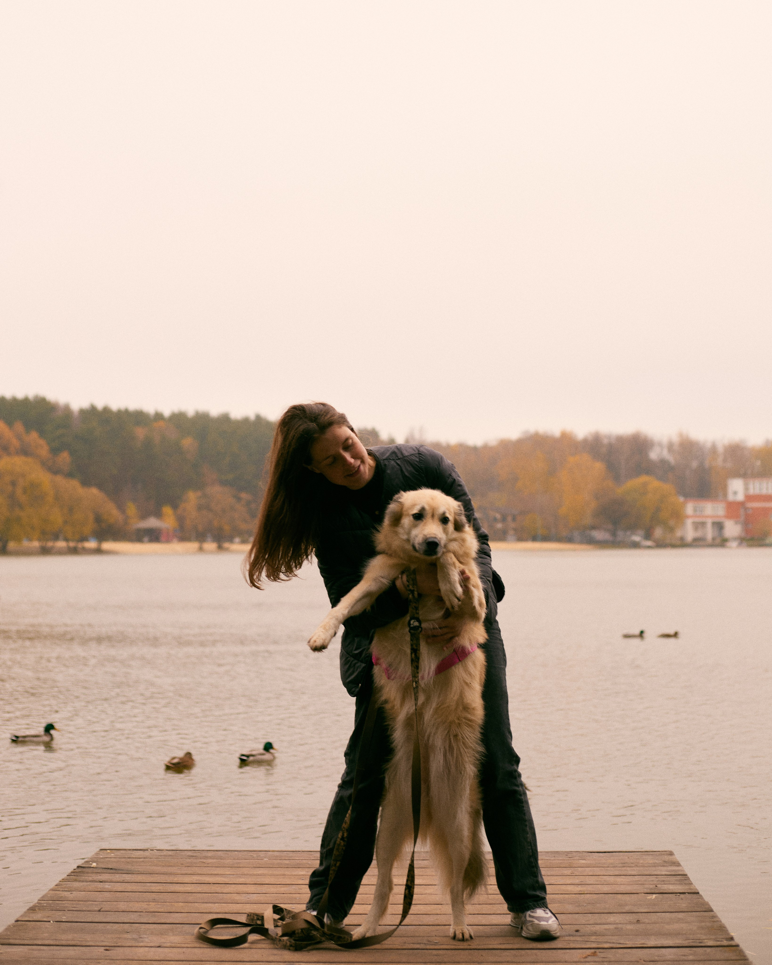 С животными. Главная