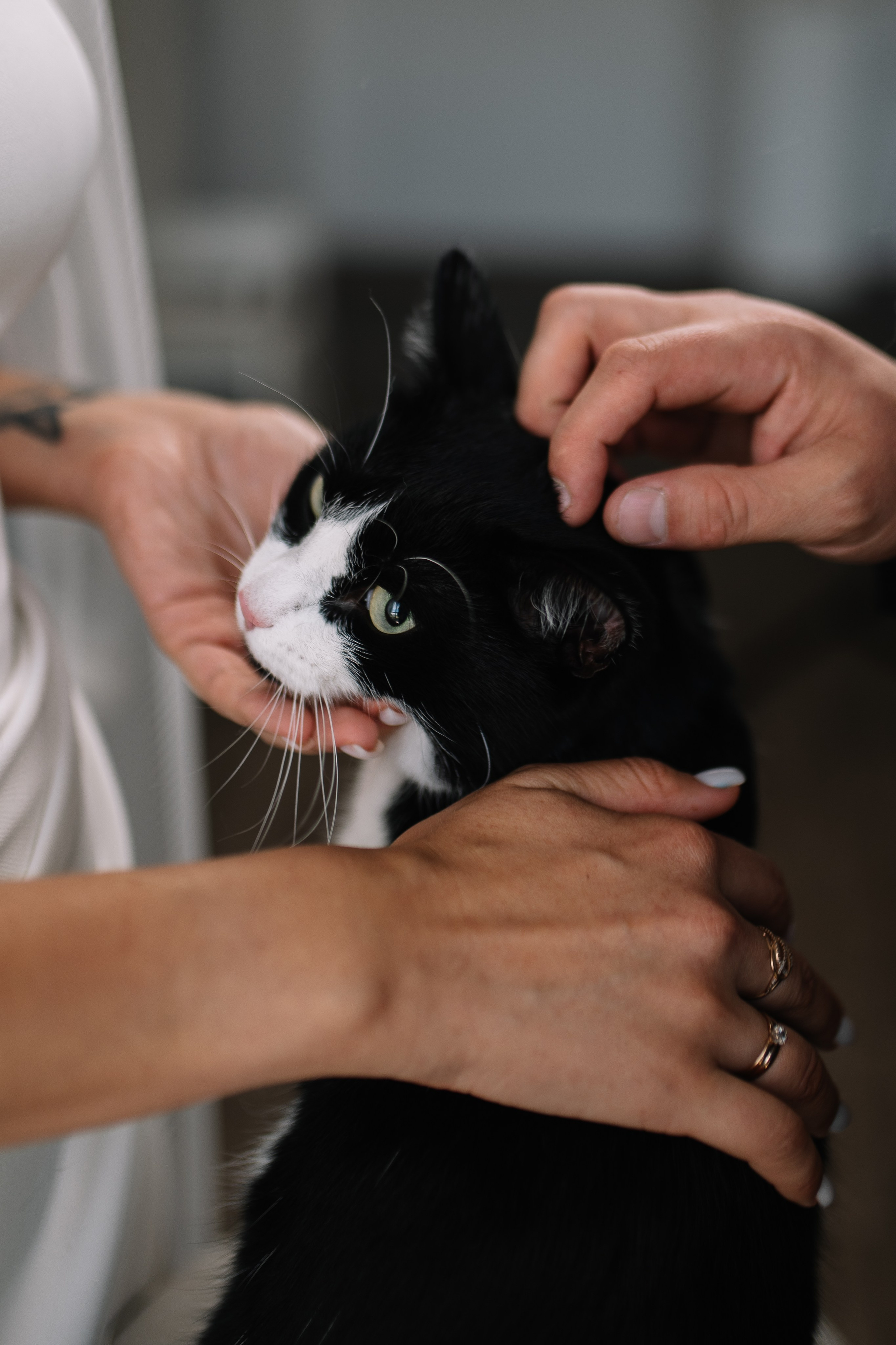 Вадим и Зарема, 07.09.2024. Свадебный фотограф в Сибае Елена Самарина